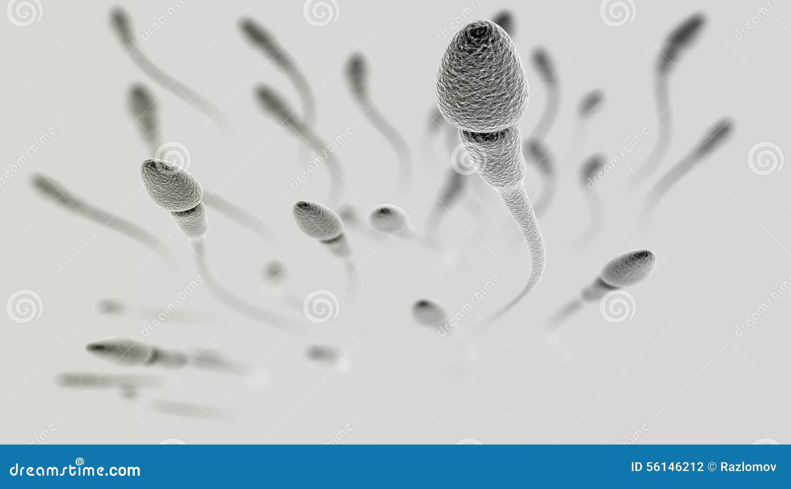 Sperm Macro on Light Background Stock Illustration Illustration of