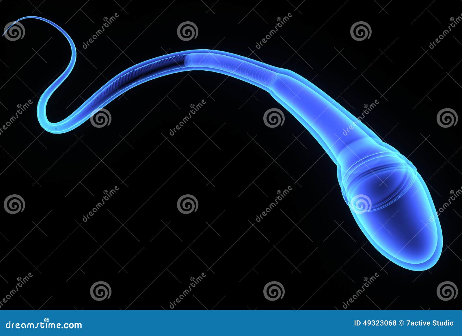 SPERM stock illustration. Illustration of medical, sperm 49323068