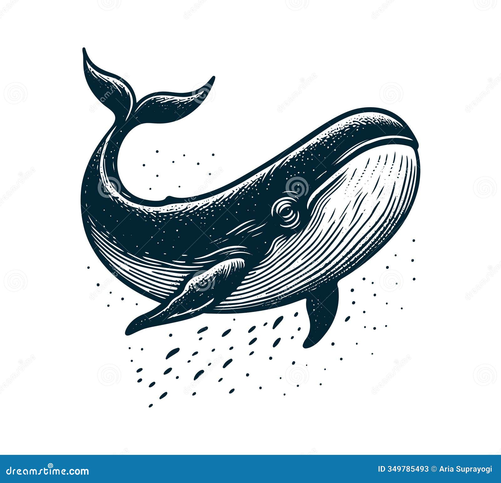 sperm whale hand drawn vintage 