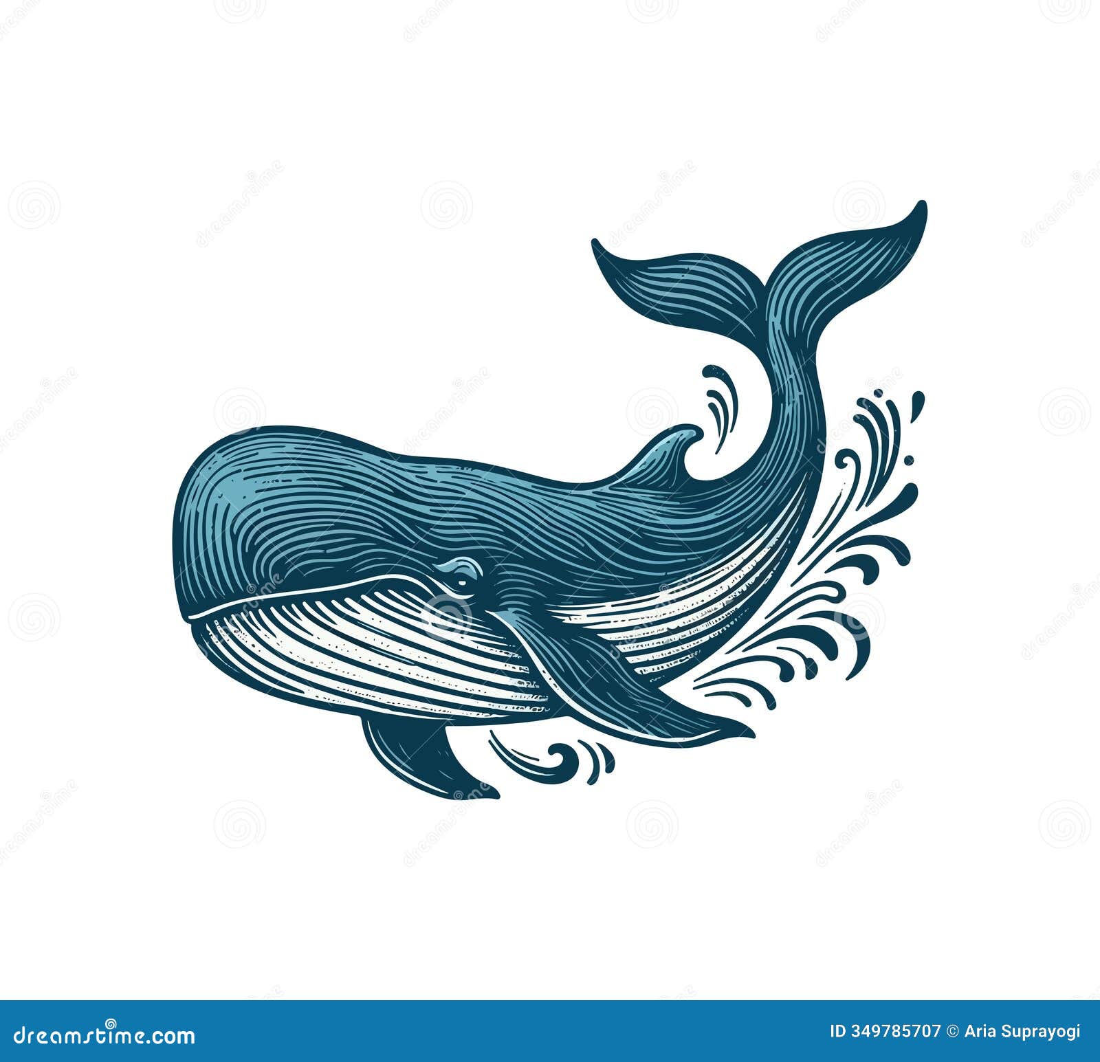 sperm whale hand drawn vintage 