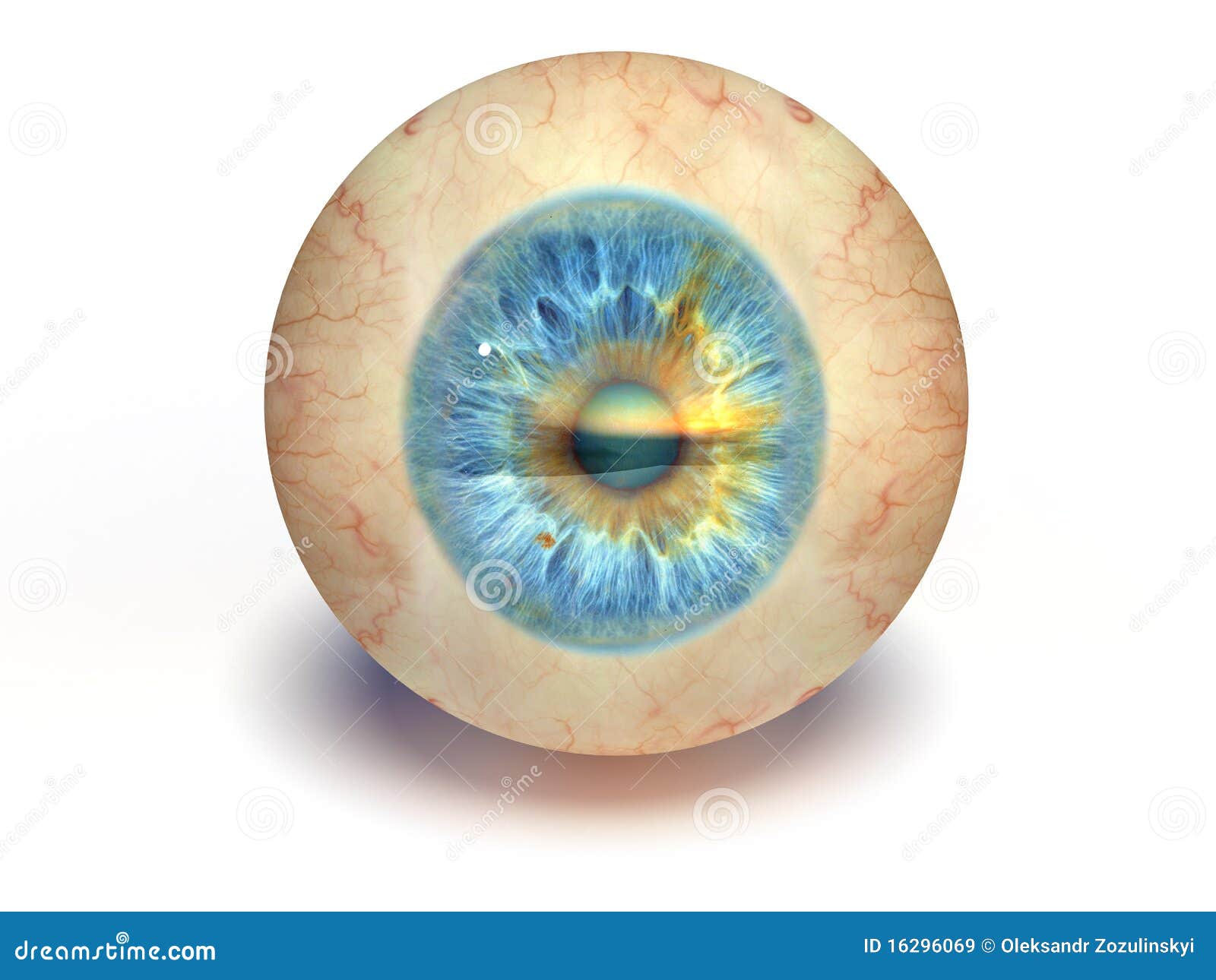 Spherical blue eyes stock illustration. Illustration of look 16296069