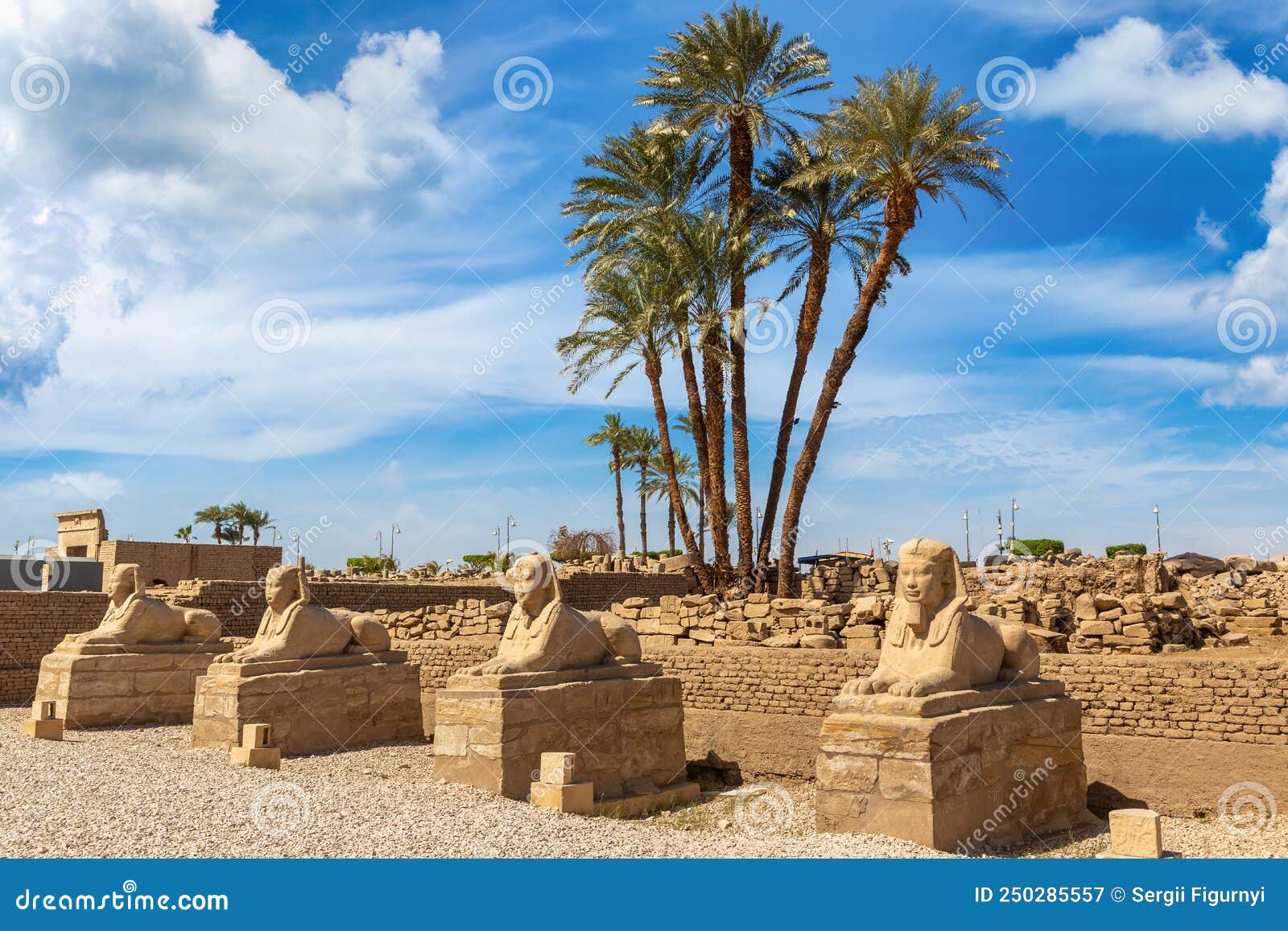 Sphinx Allee in Luxor, Egypt Stock Image Image of heritage, allee