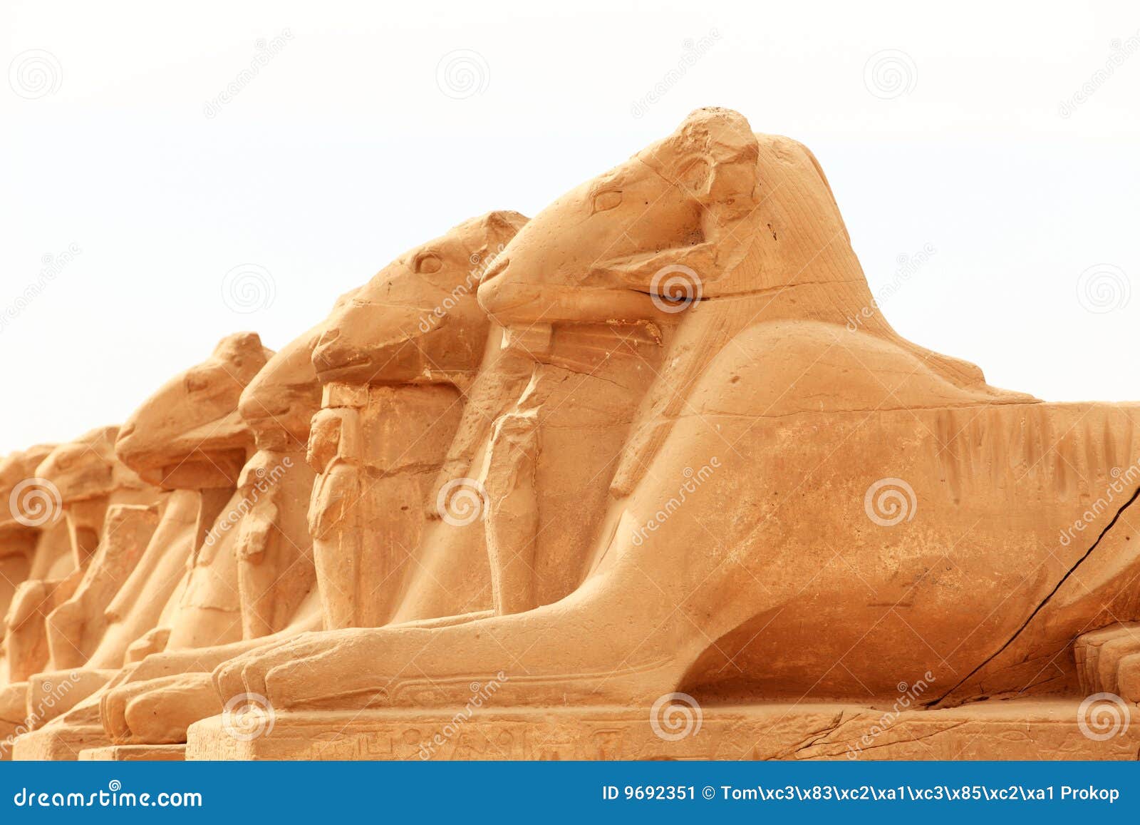 Sphinx Heads Entrance On Wooden Door RoyaltyFree Stock Image