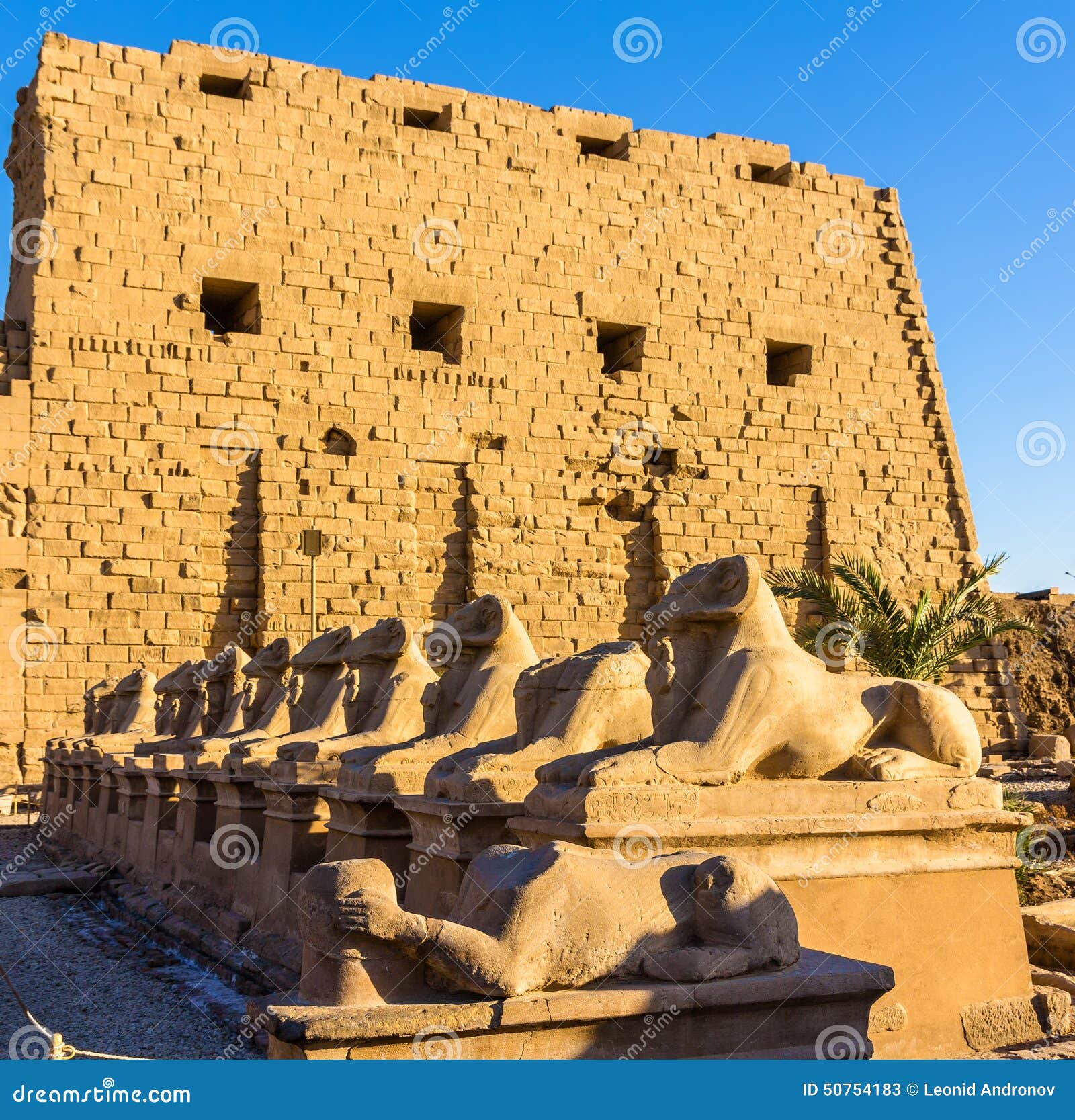 sphinxes at the entrance of the karnak temple - luxor