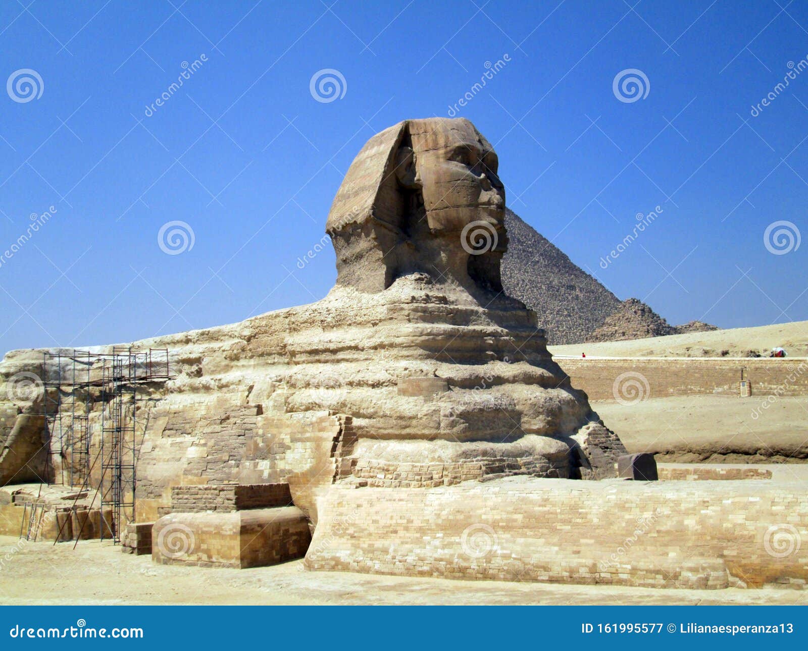 sphinxes of giza egypt africa
