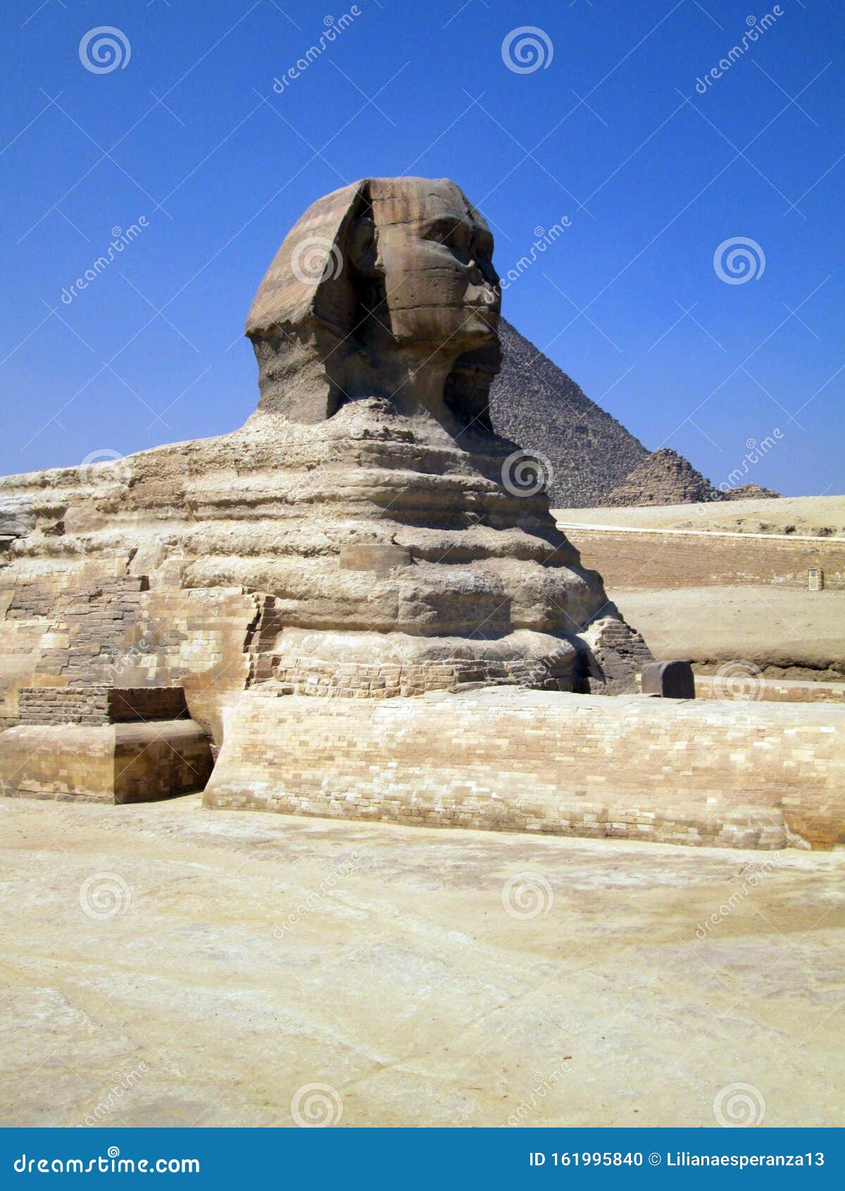 sphinxes of giza egypt africa