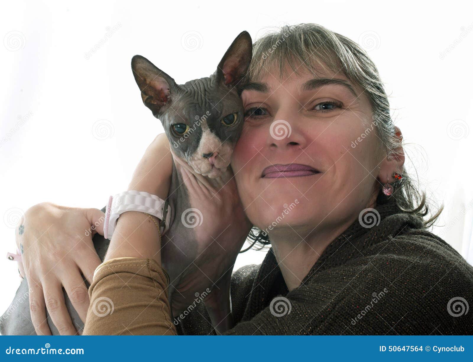 Sphynx Hairless Cat and Woman Stock Photo Image of woman, kitten
