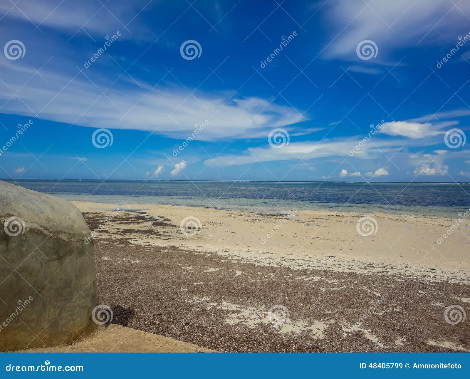 Dettaglio dalla spiaggia a Mombasa, Kenya