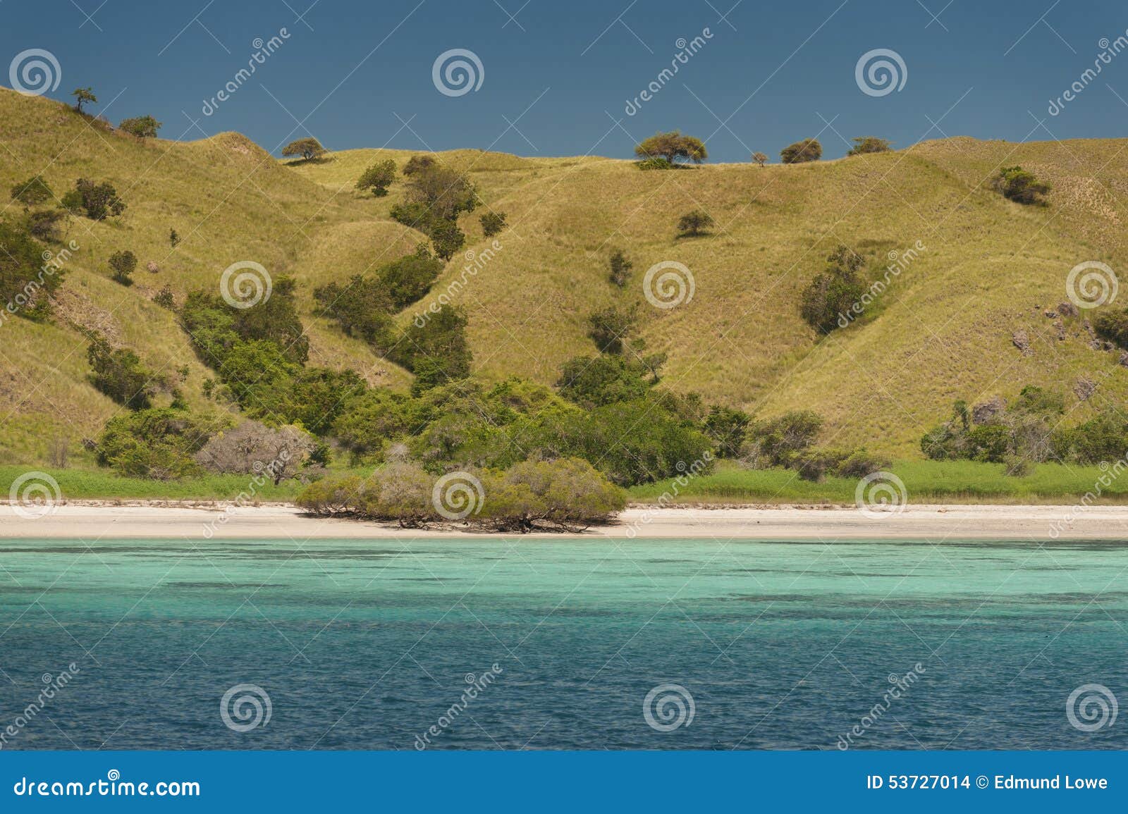 Spiaggia Rosa Isola Di Komodo Fotografia Stock Immagine