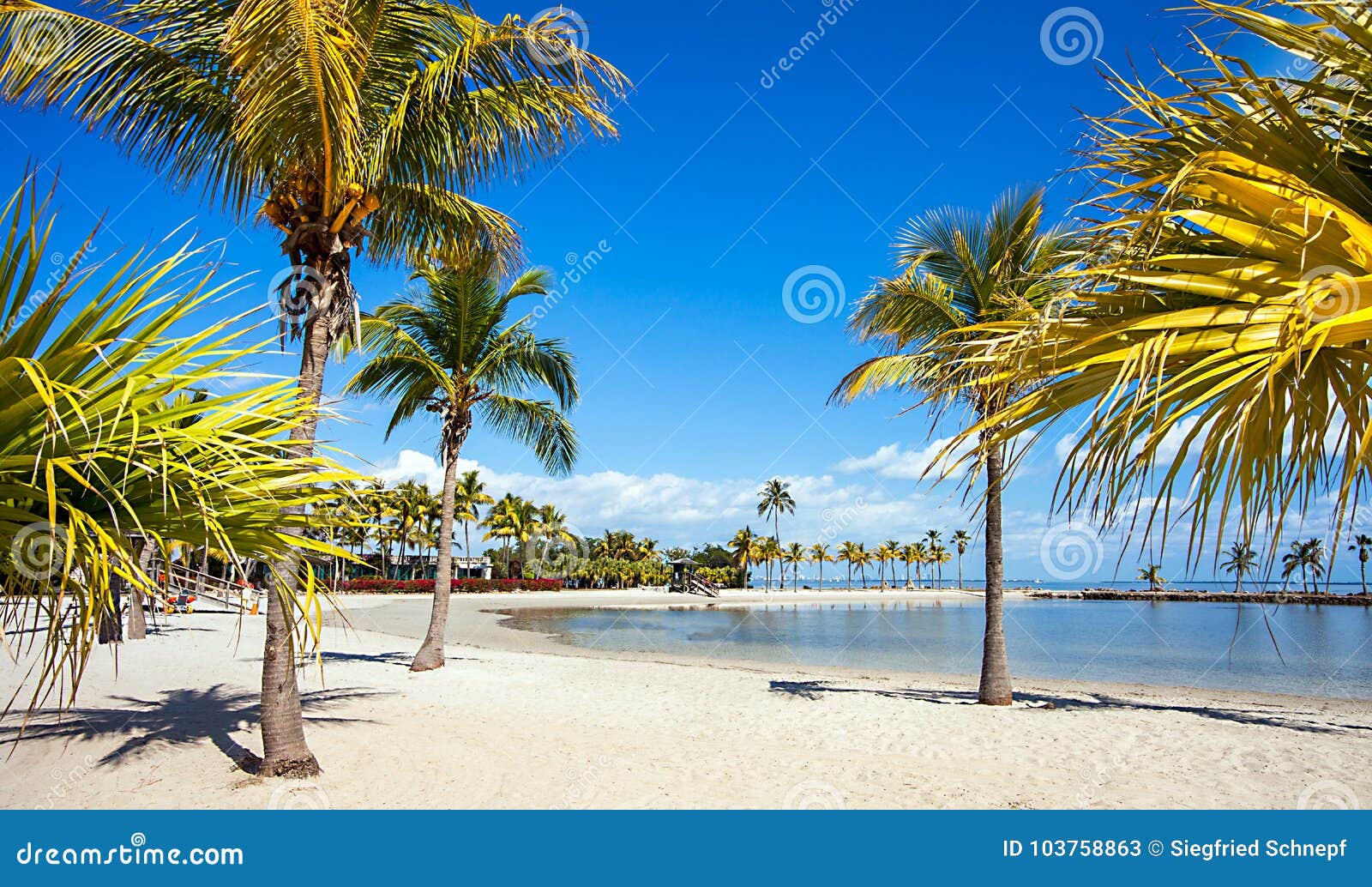 Spiaggia Rotonda a Miami Florida U.S.a. Immagine Stock Immagine di