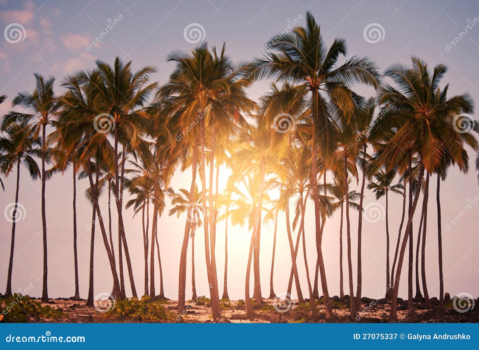 Spiaggia tropicale sulla Sri Lanka