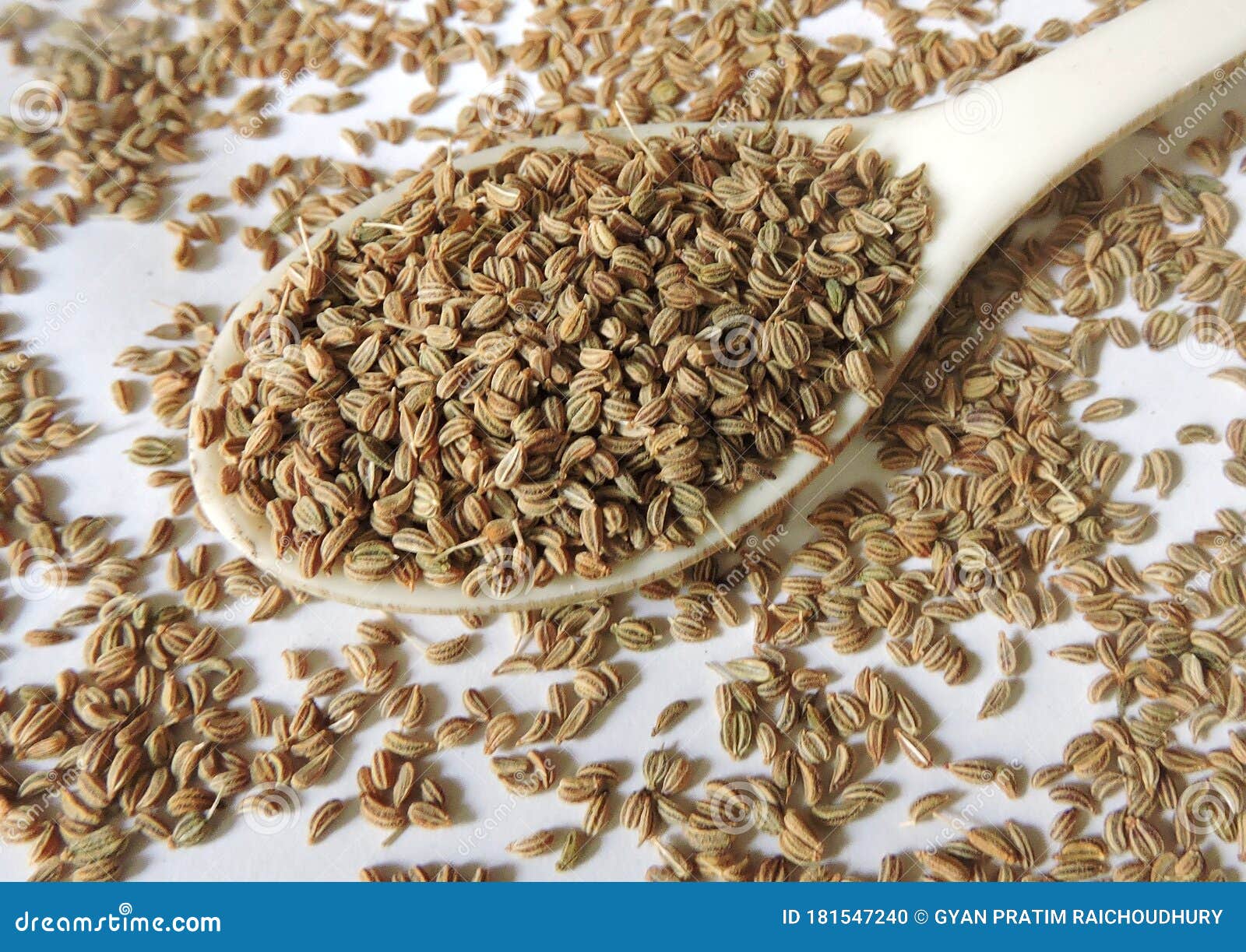 spice -ajwain or bishop's weed. scientific name - trachyspermum ammi. also known as carom, ajowan, caraway.