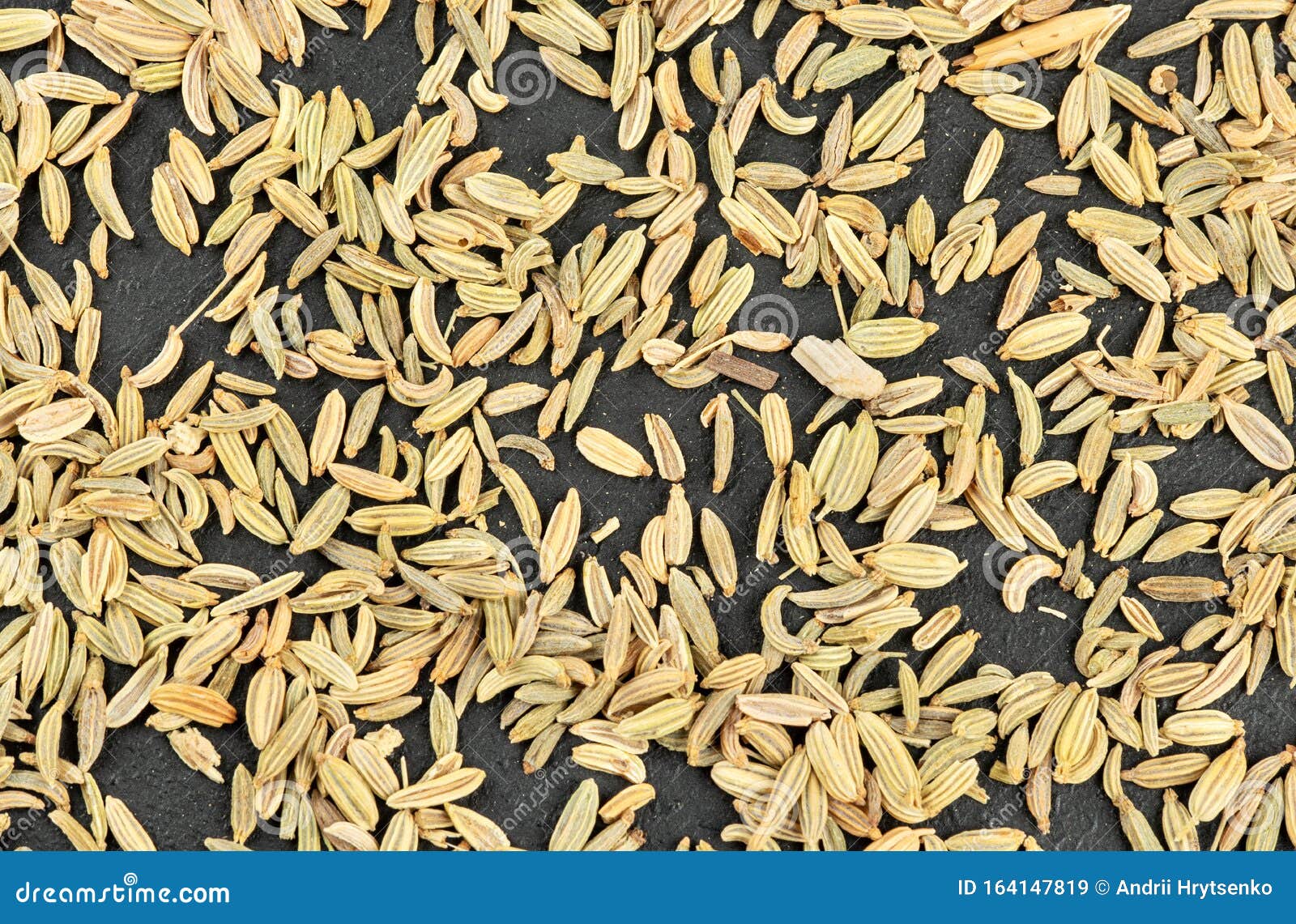 Spice dry fennel stock image. Image of eating, cumin 164147819