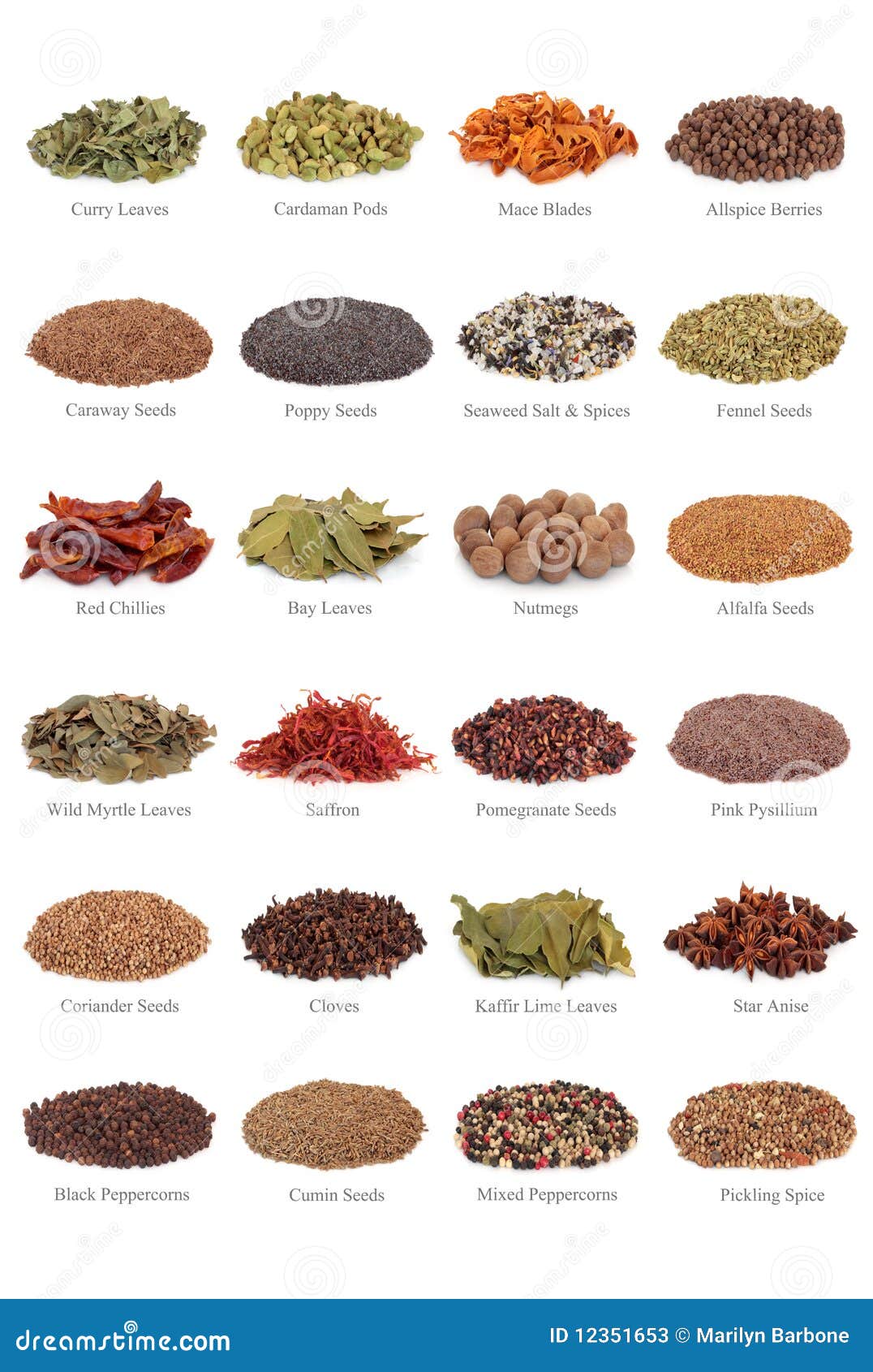 spice and herb collection