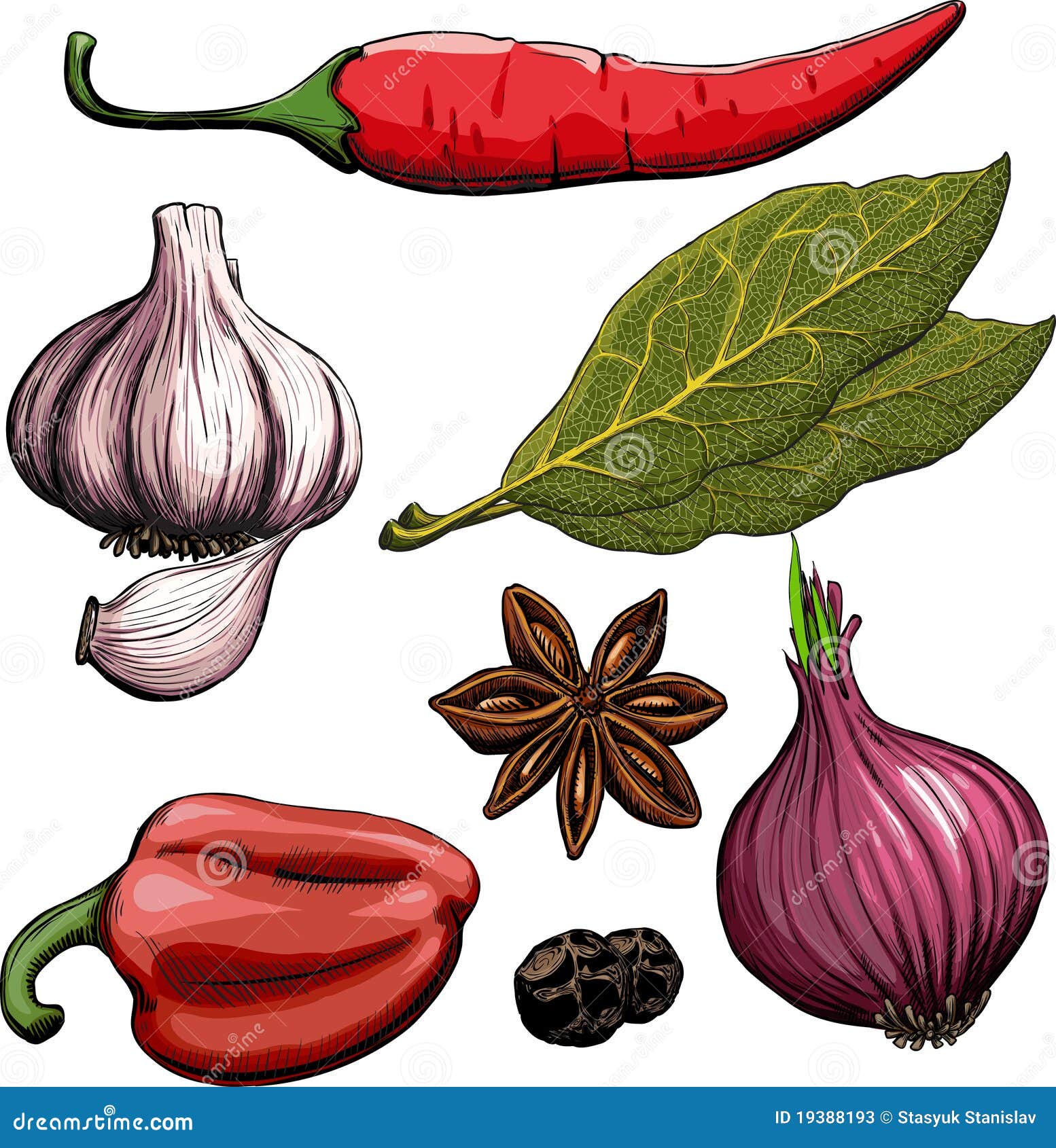 Onion Stock Illustrations – 20,20 Onion Stock Illustrations ...