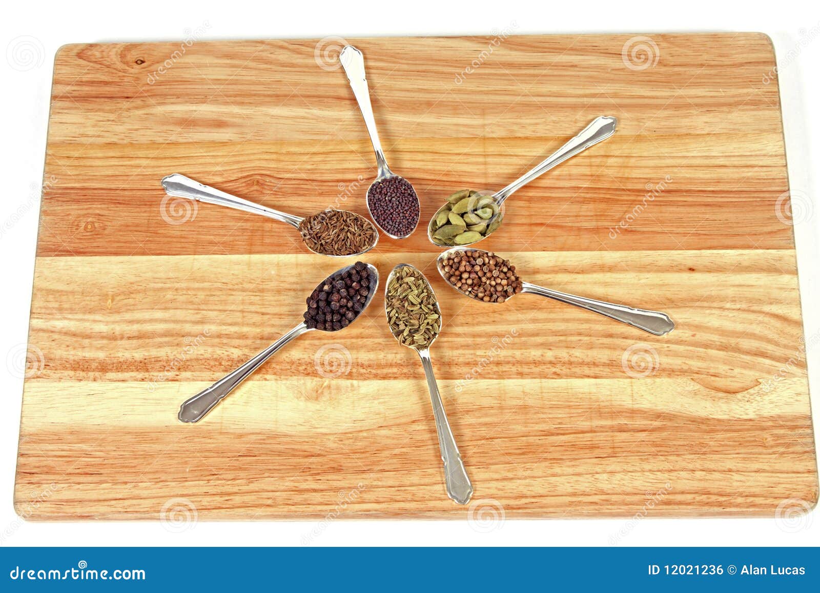 Spice Wheel stock photo. Image of pungent, fennel, cumin 12021236