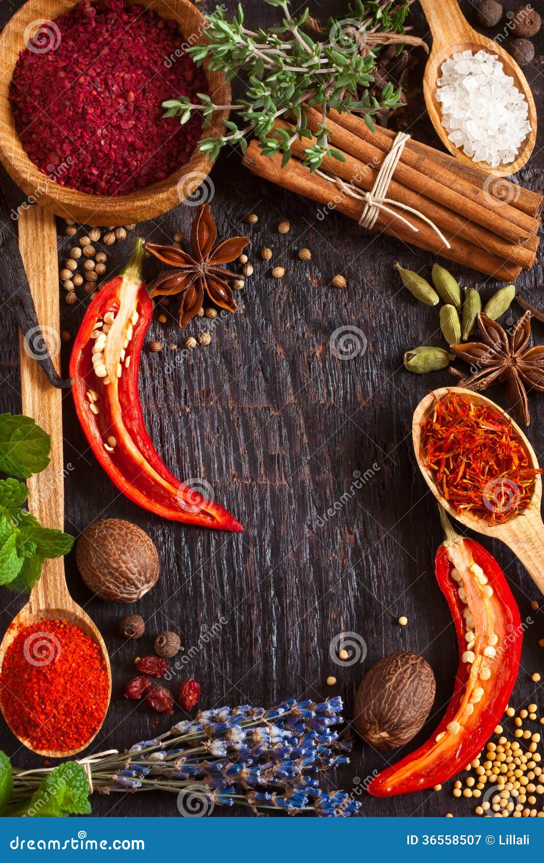 Spices. stock image. Image of closeup, food, frame, anise - 36558507