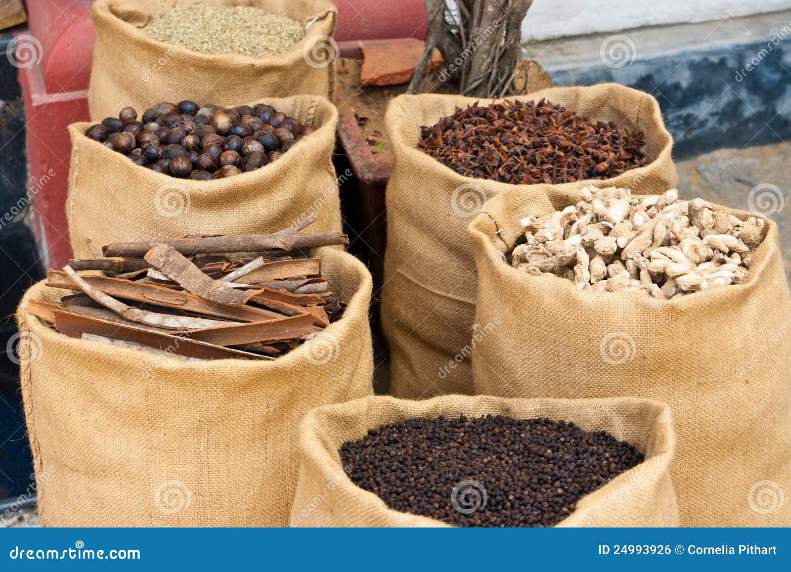 Spices in Kerala, India stock photo. Image of rhizome 24993926