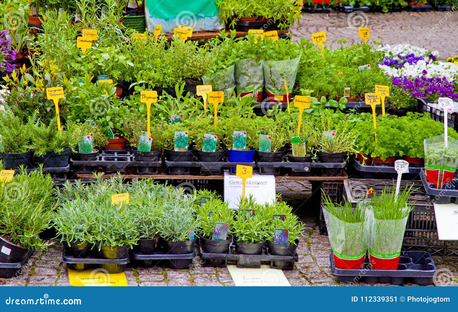 Herbs on market stall stock image. Image of cook, shopping 112339351