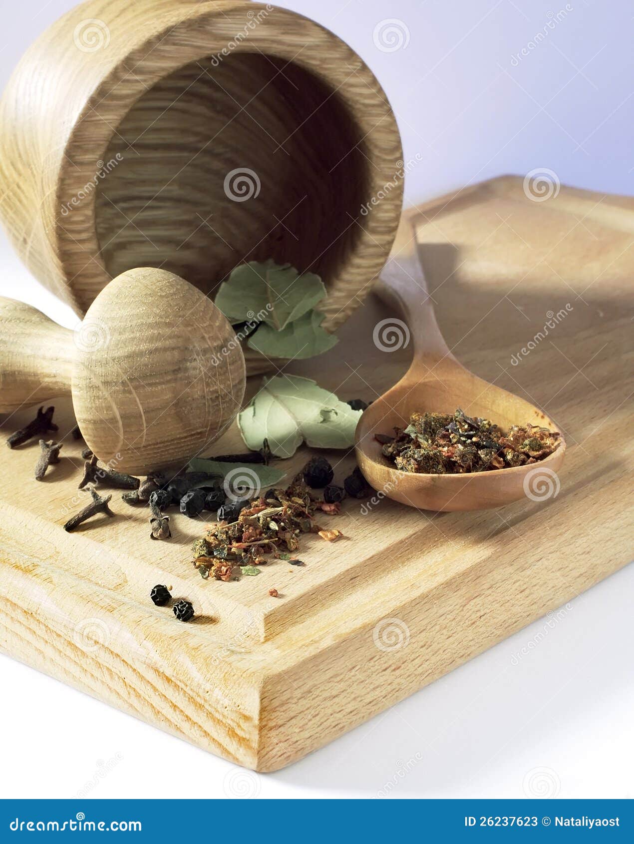 Spices, Seasonings and Spices Stock Image Image of border, component