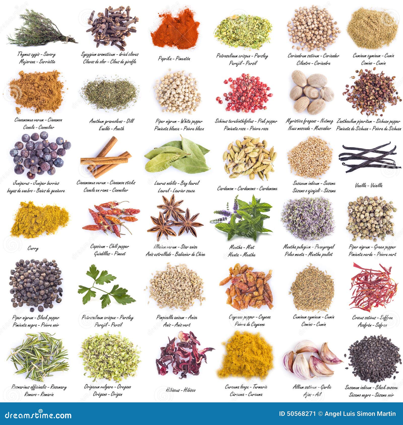 Spices Set Isolated on a White Background Stock Image - Image of dill,  cloves: 50568271