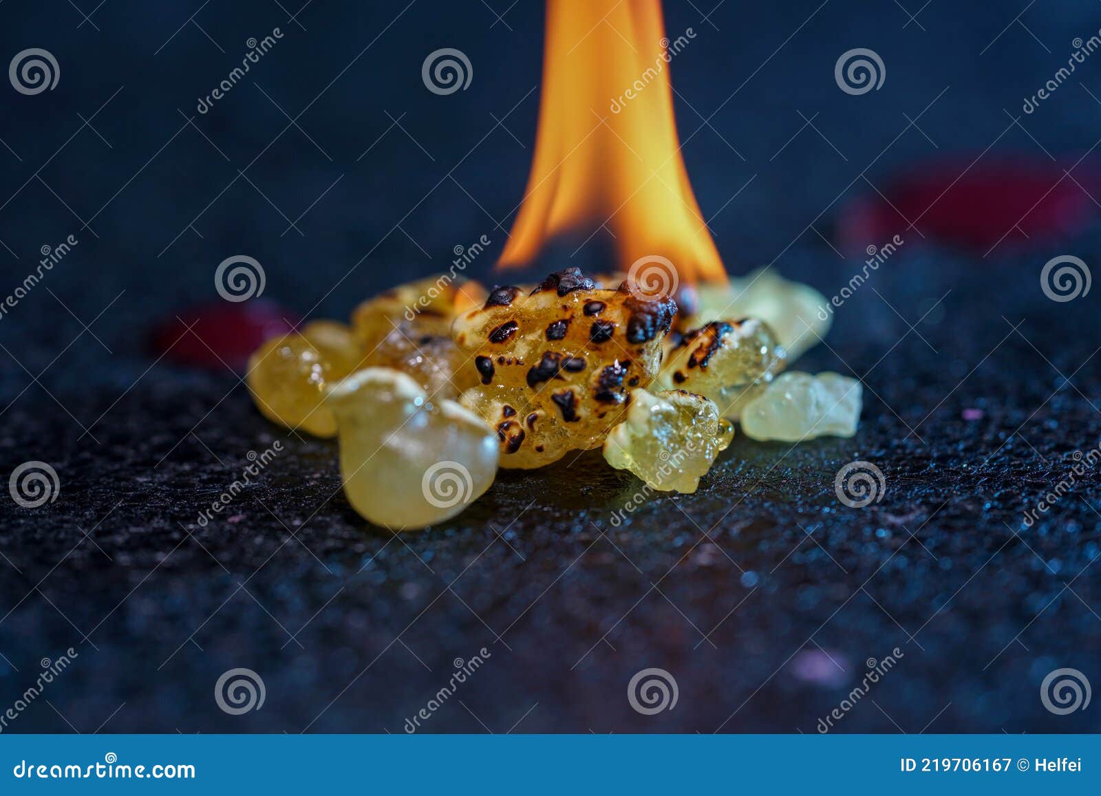 Spices for Smoking in the Studio Photographed with Smoke and Dark