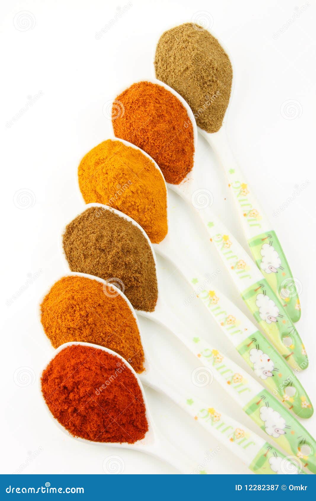 Spicy Ingredients Arranged on the Spoon Stock Image Image of turmeric
