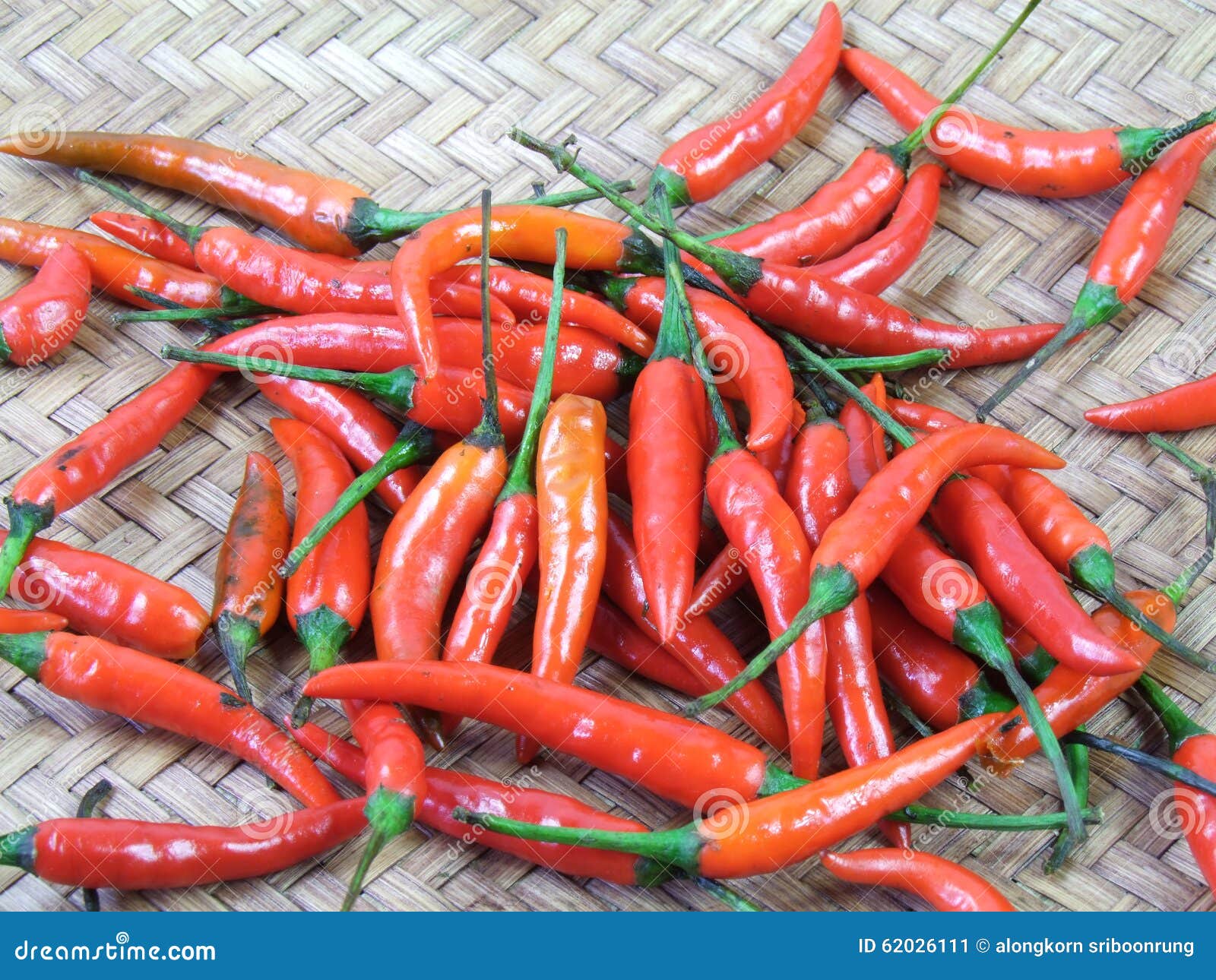 Spicy red pepper stock image. Image of seasoning, peper 62026111