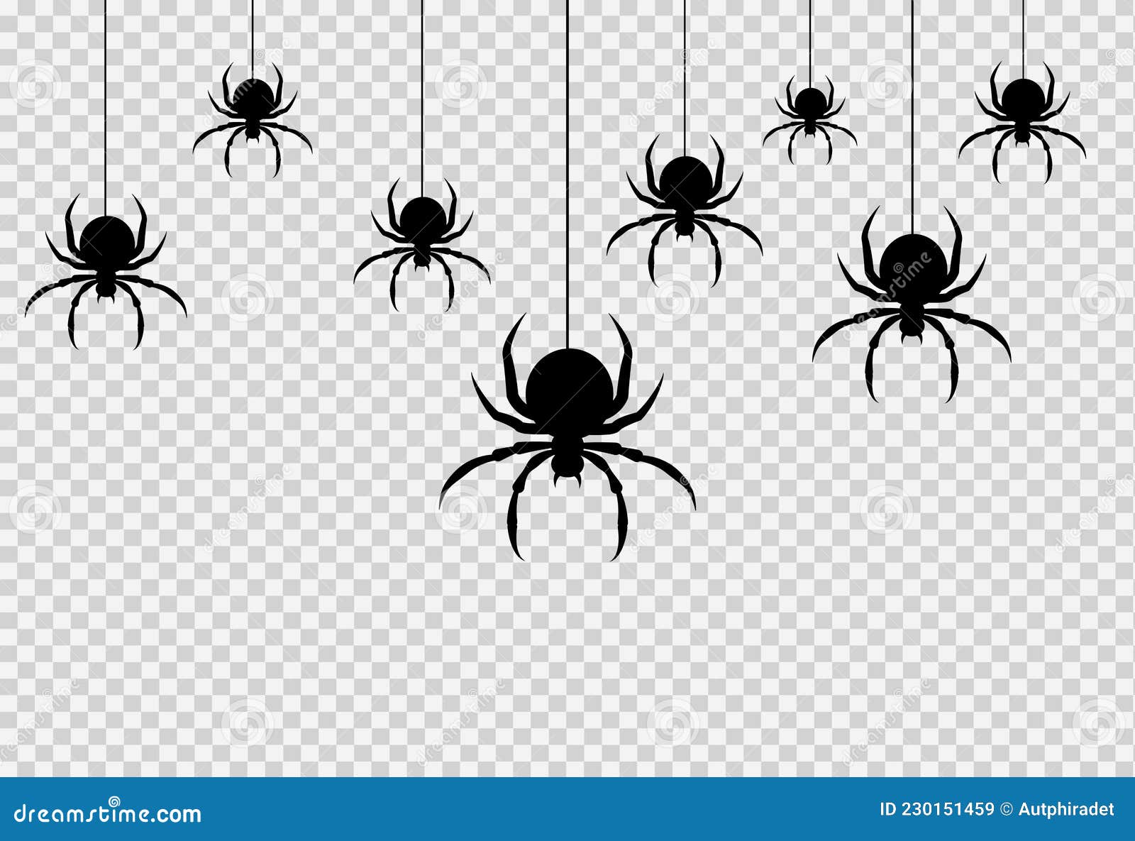 Hanging spider on web thread Royalty Free Vector Image