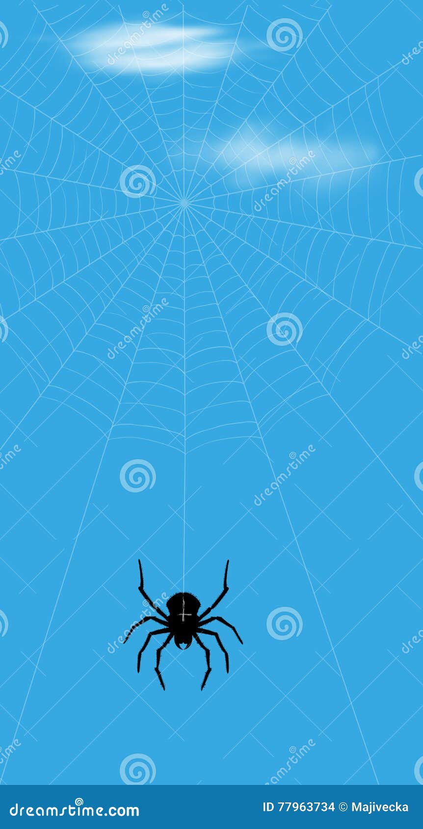 spider 