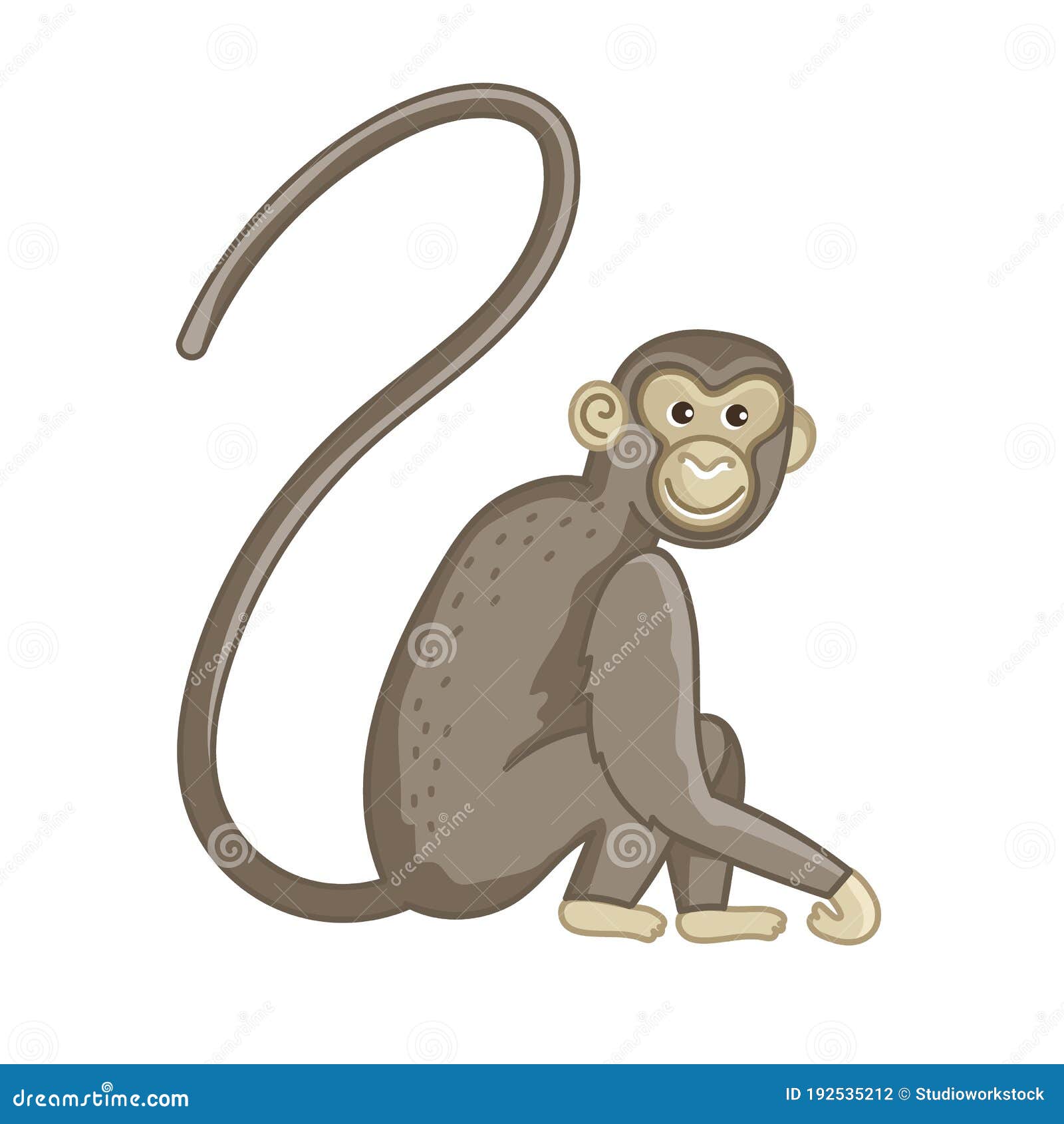 Spider Monkey. Isolated Wild Ape with Long Tail Stock Vector - Illustration  of tail, animal: 192535212