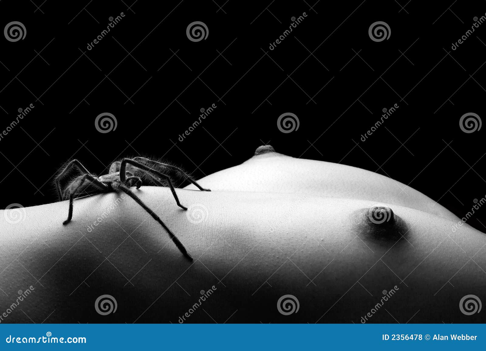 Spider and nude stock photo. Image of bare, breast, nude - 2356478