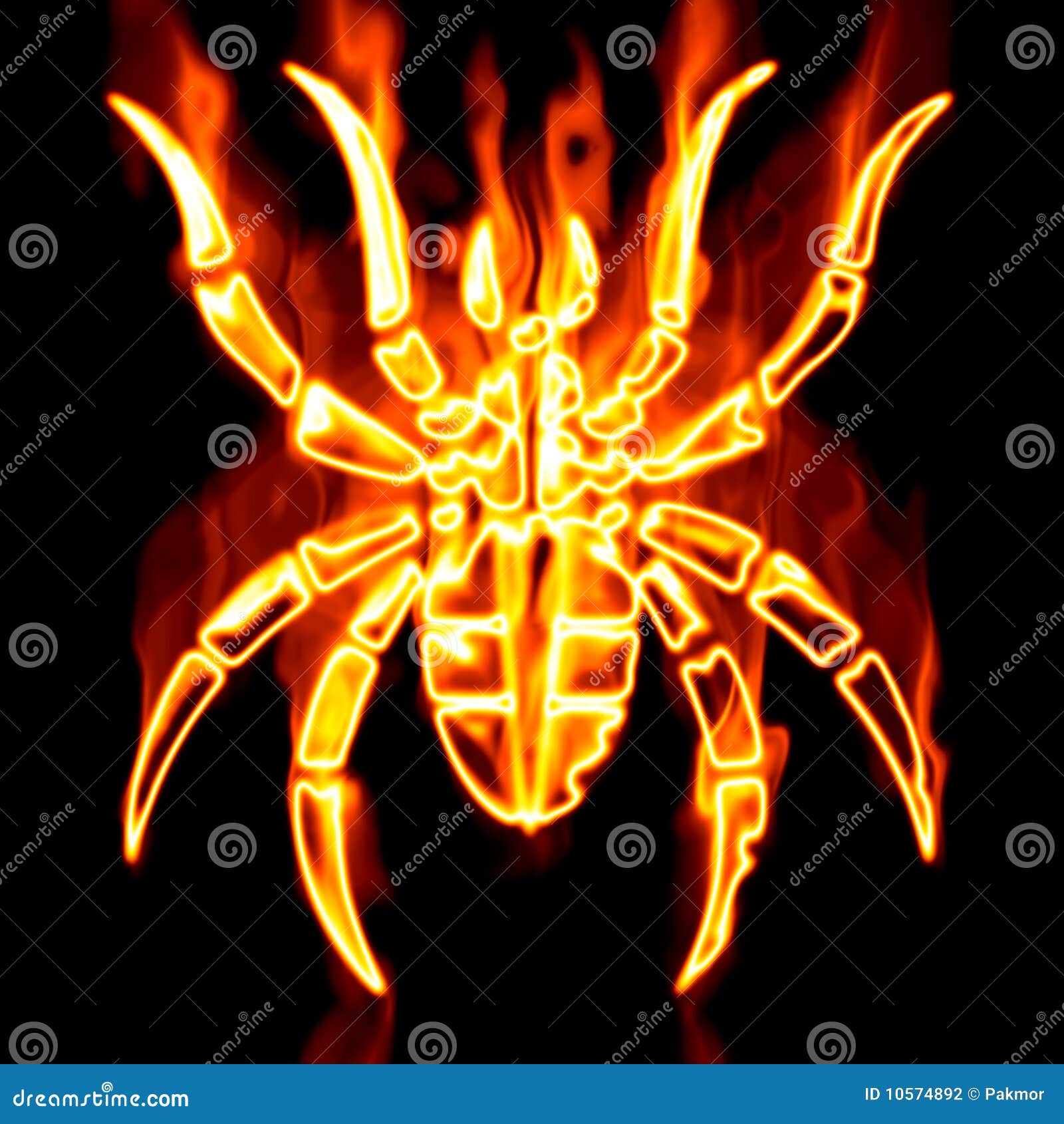 with fire and sword spiders with fire and sword spiders
