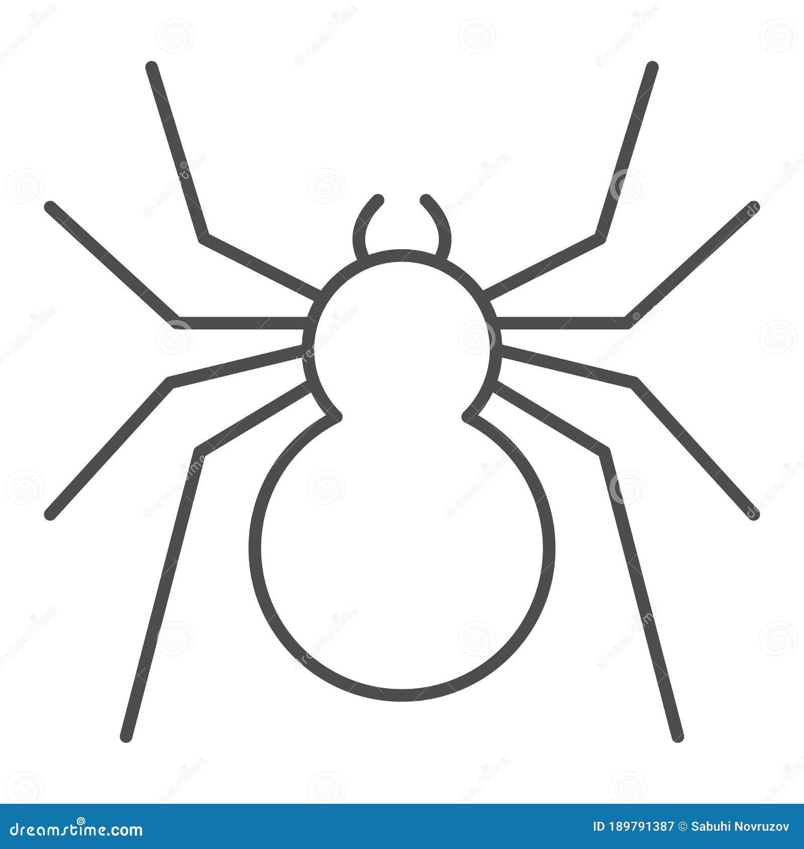 spider thin line icon, insects concept, predatory arachnid sign on white background, classic spider icon in outline