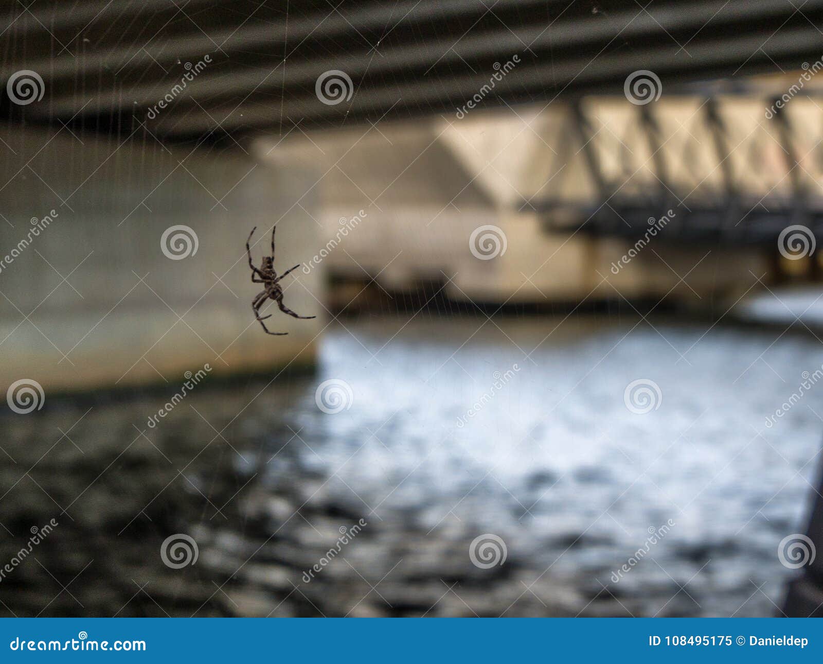 Spider Under bridge stock image. Image of markings, construction