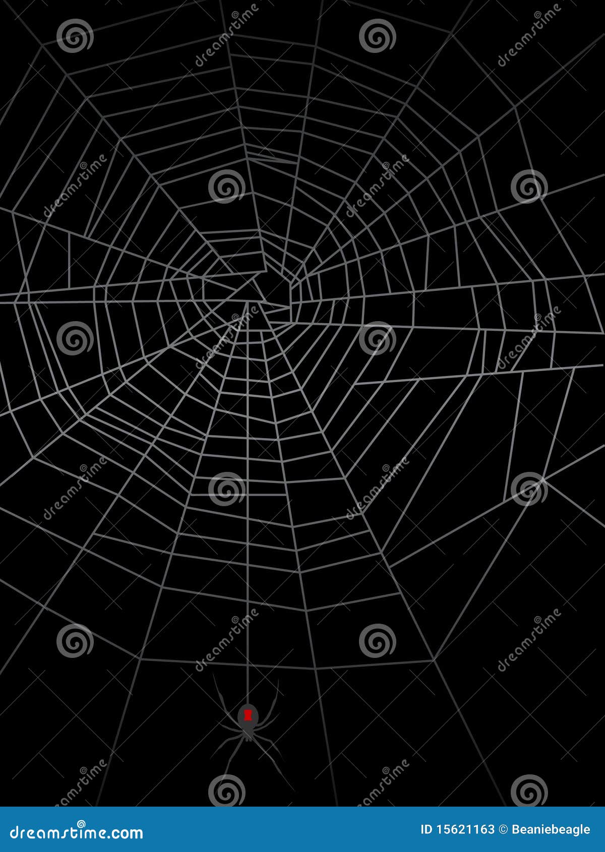 spider web eps