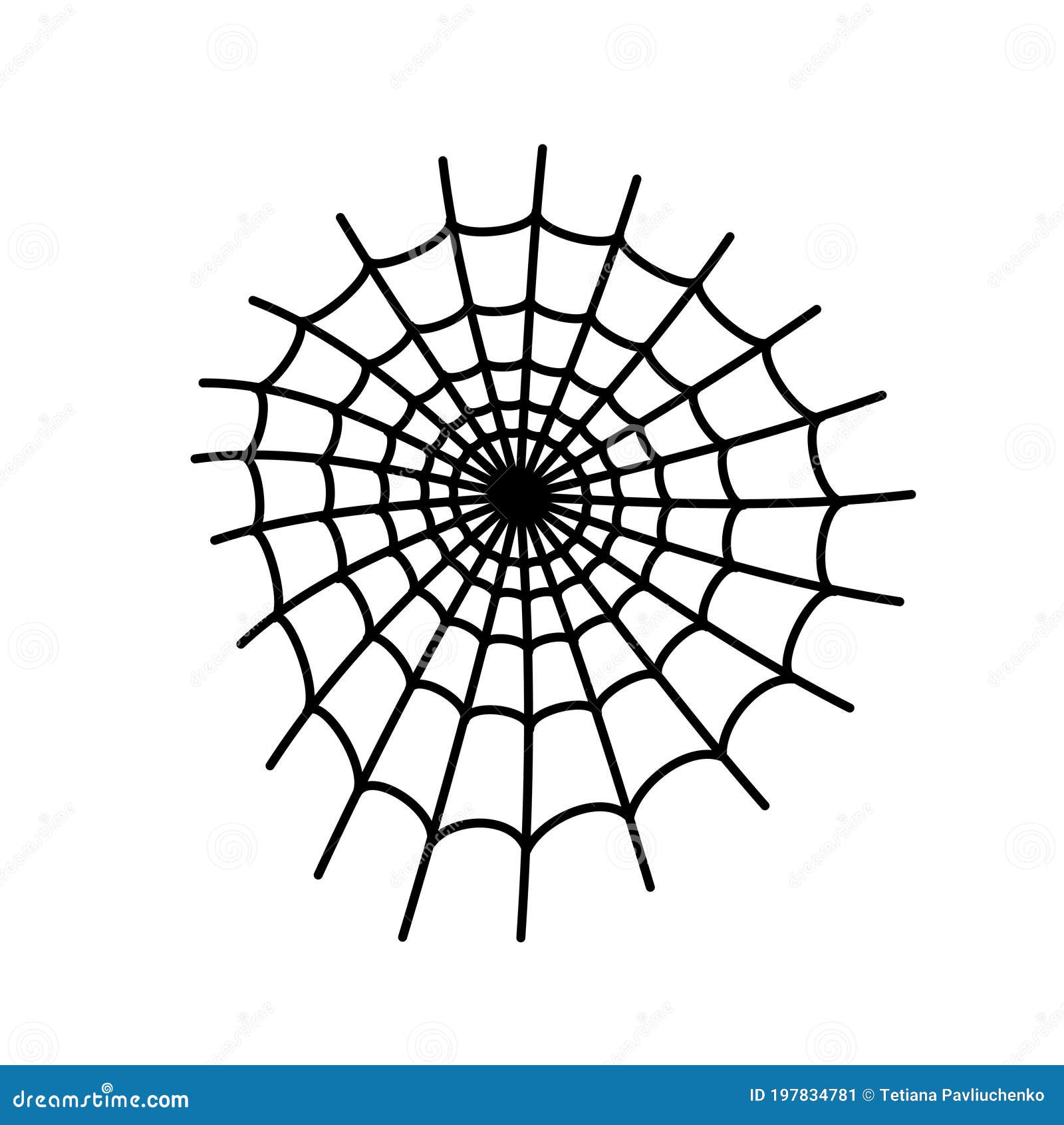 spider web concept