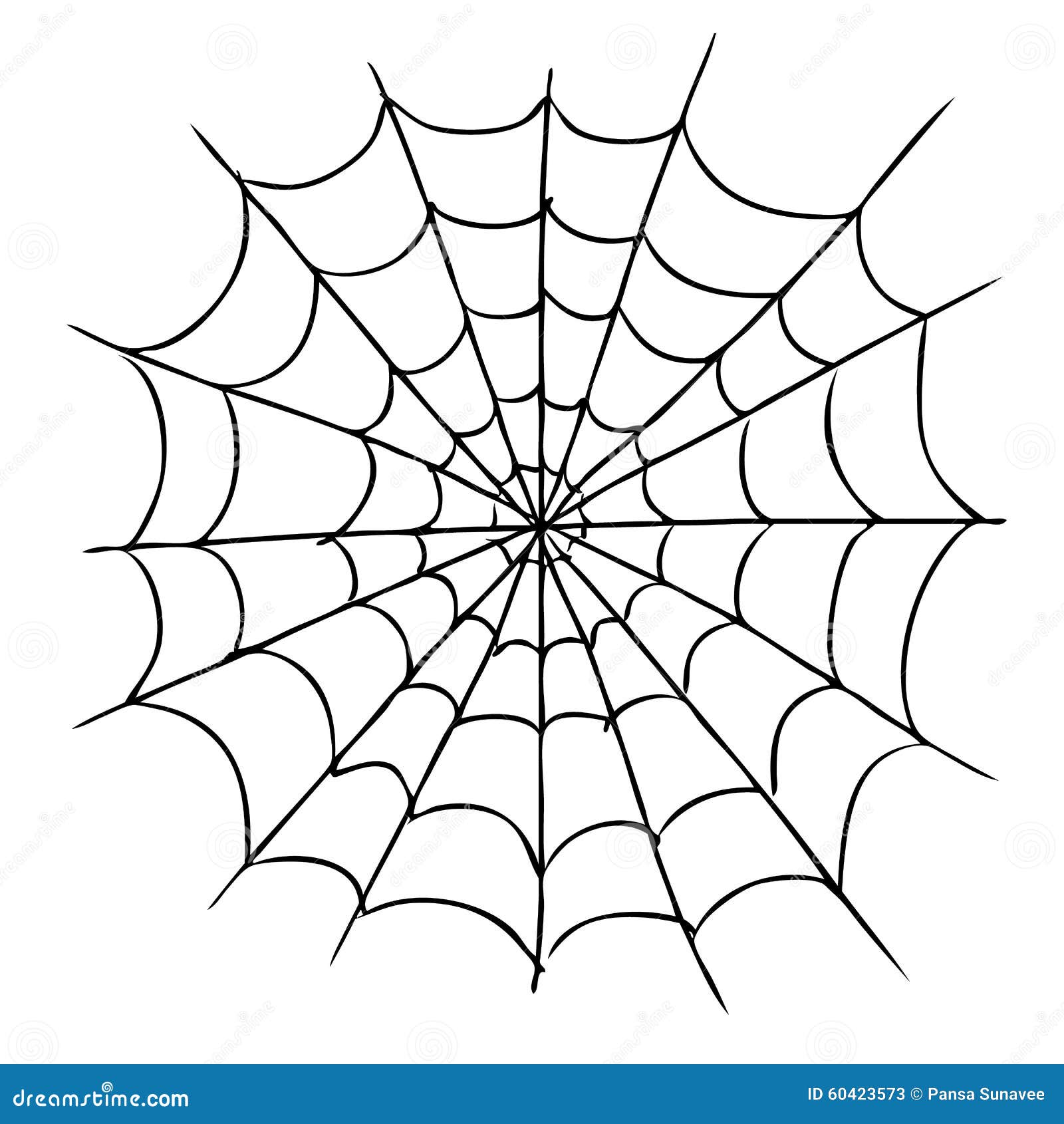 spider web