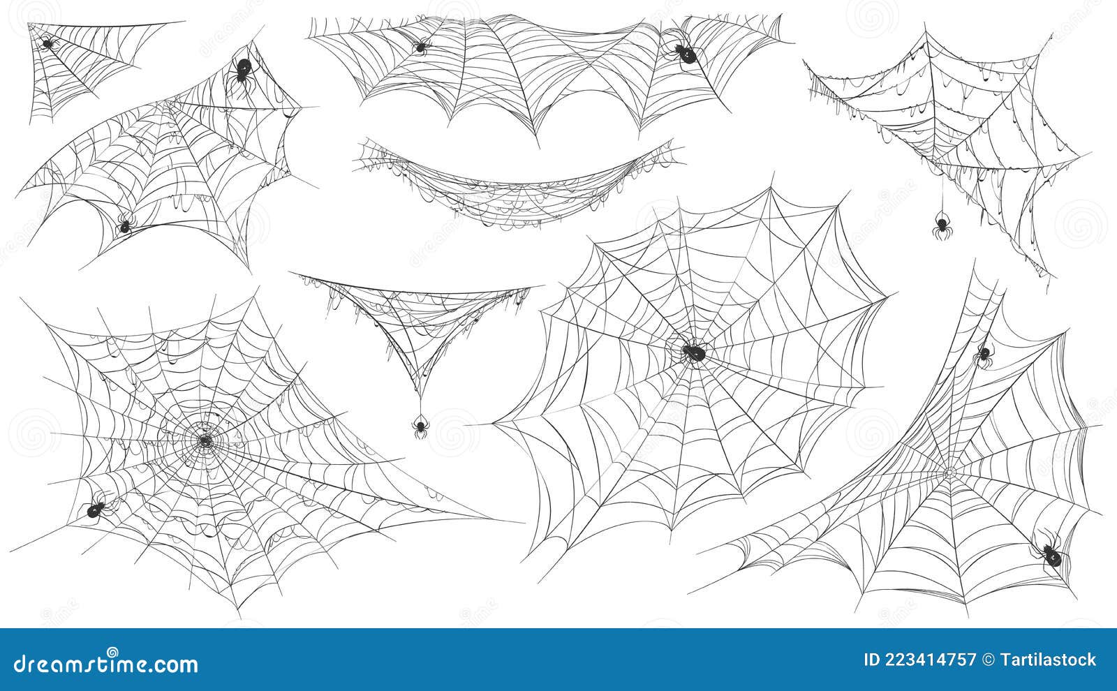 spider web silhouette. hanging cobweb with venom spiders for horror helloween decor. spooky spiderweb , net trap