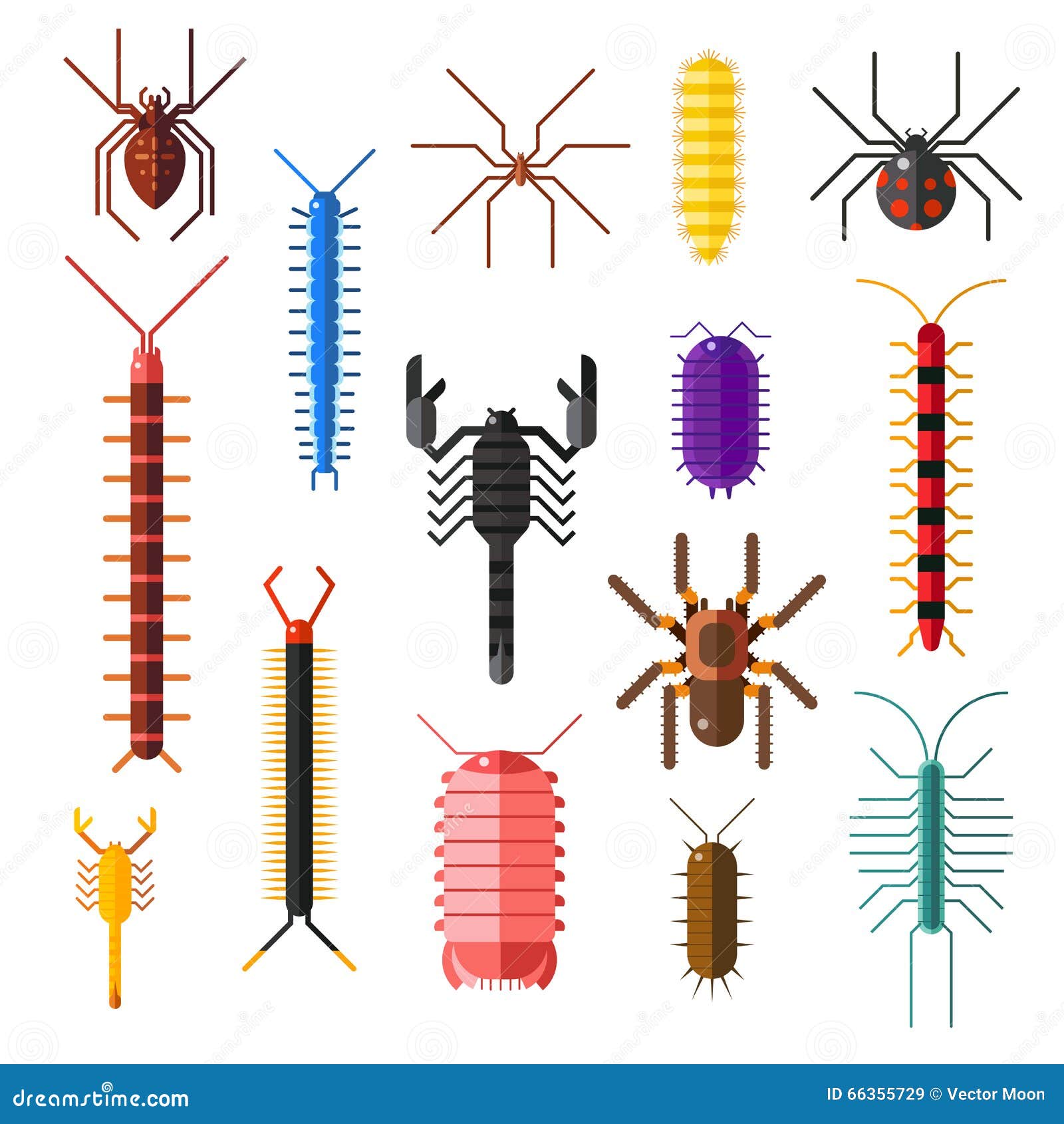 Spiders and Scorpions Dangerous Insects Animals Vector Cartoon Flat Illustration Stock Vector - Illustration of background, graphic: 66355729 Spiders and Scorpions Dangerous Insects Animals Vector Cartoon Flat Illustration Stock Vector - Illustration of background, graphic: 66355729