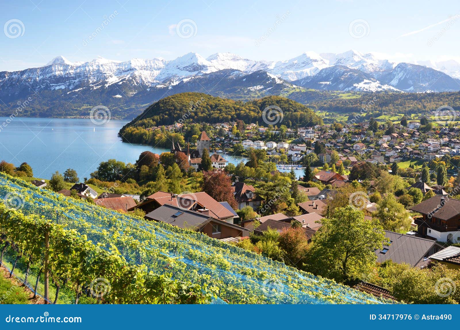 Spiez Switzerland Desktop Wallpaper