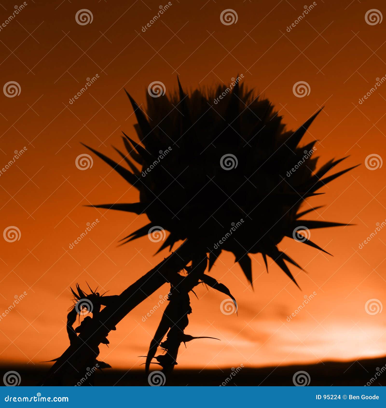 Spikey Blume. Orange silhouettierte Blume