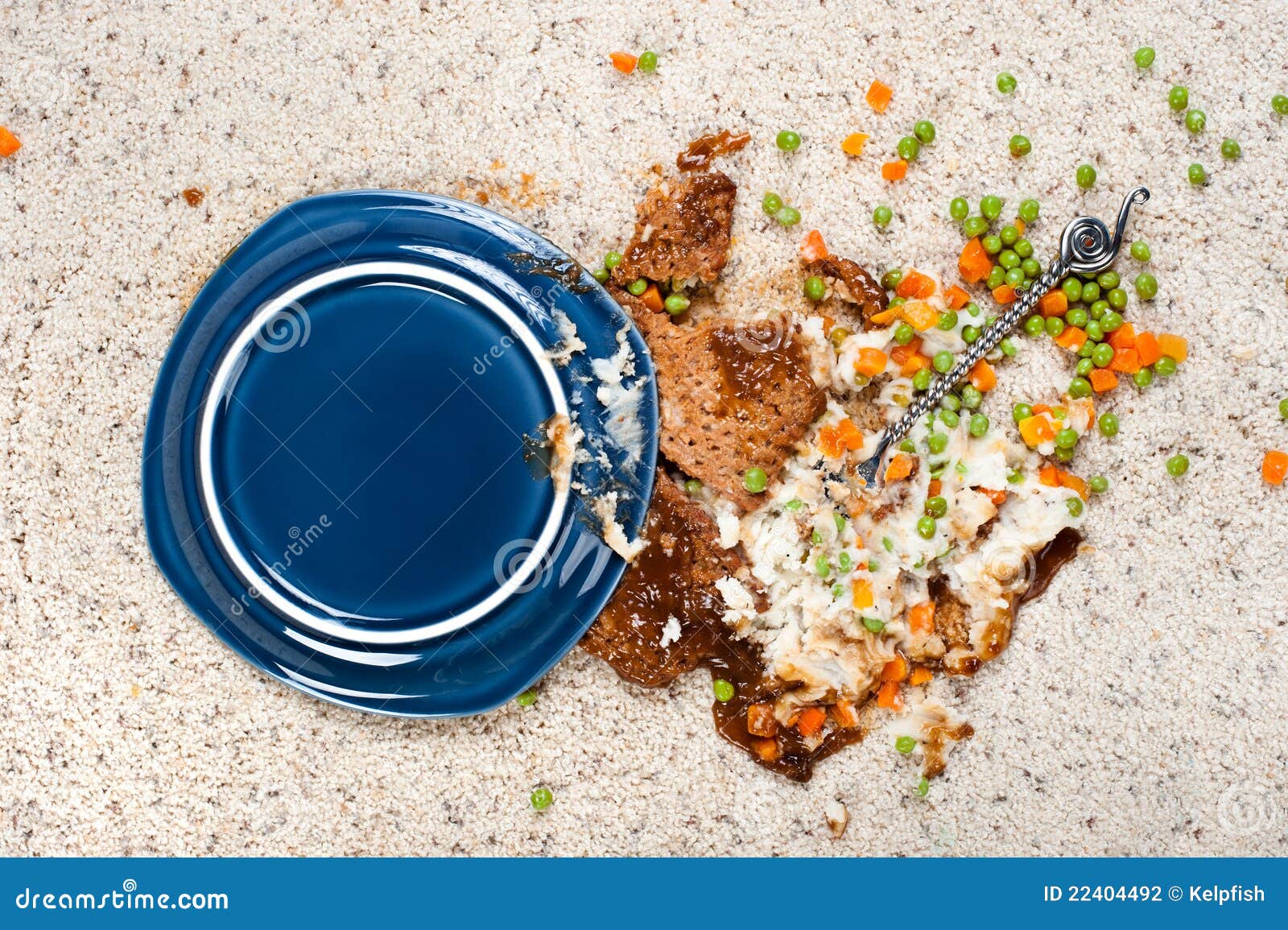 Spilled Plate of Food on Carpet Stock Photo Image of stained, blue