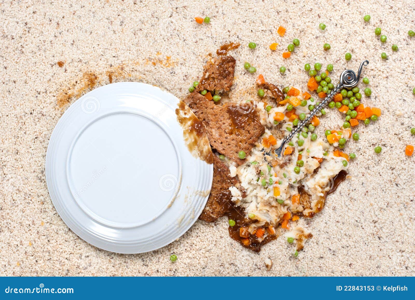 Spilled Plate of Food on Carpet Stock Image Image of stain, carrots