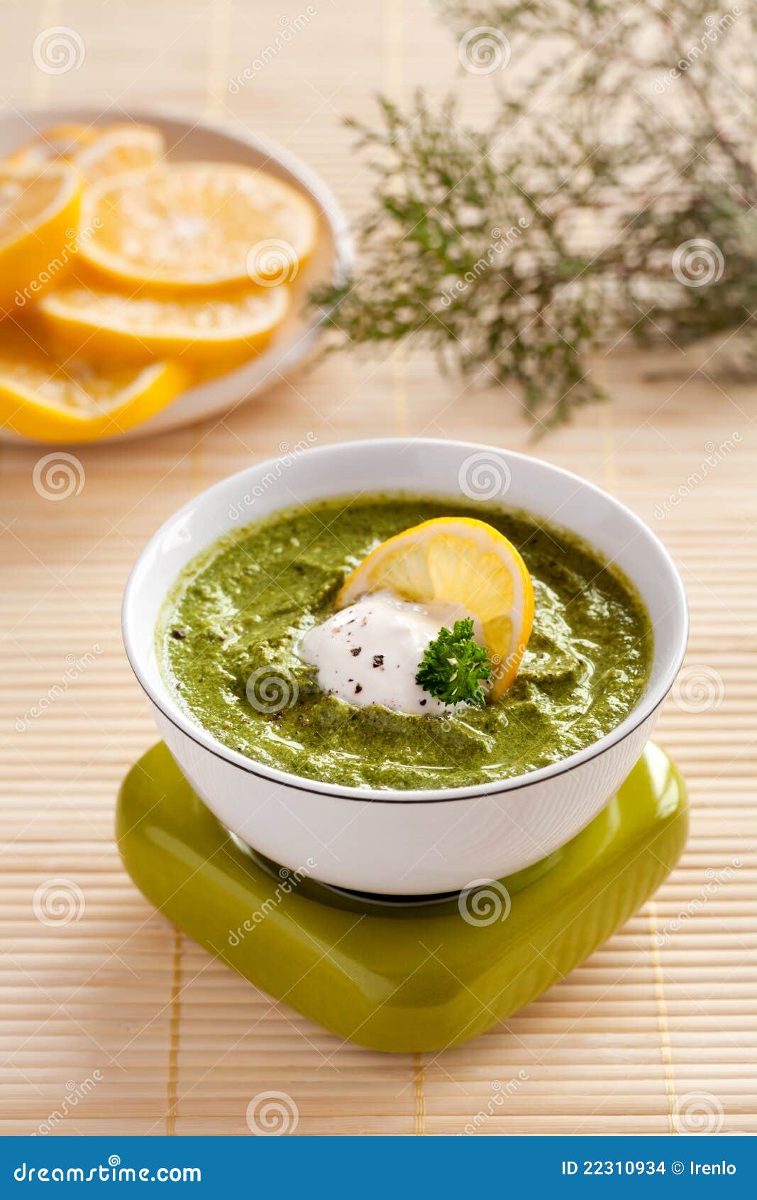 Spinach Cream Soup stock photo. Image of food, slice - 22310934