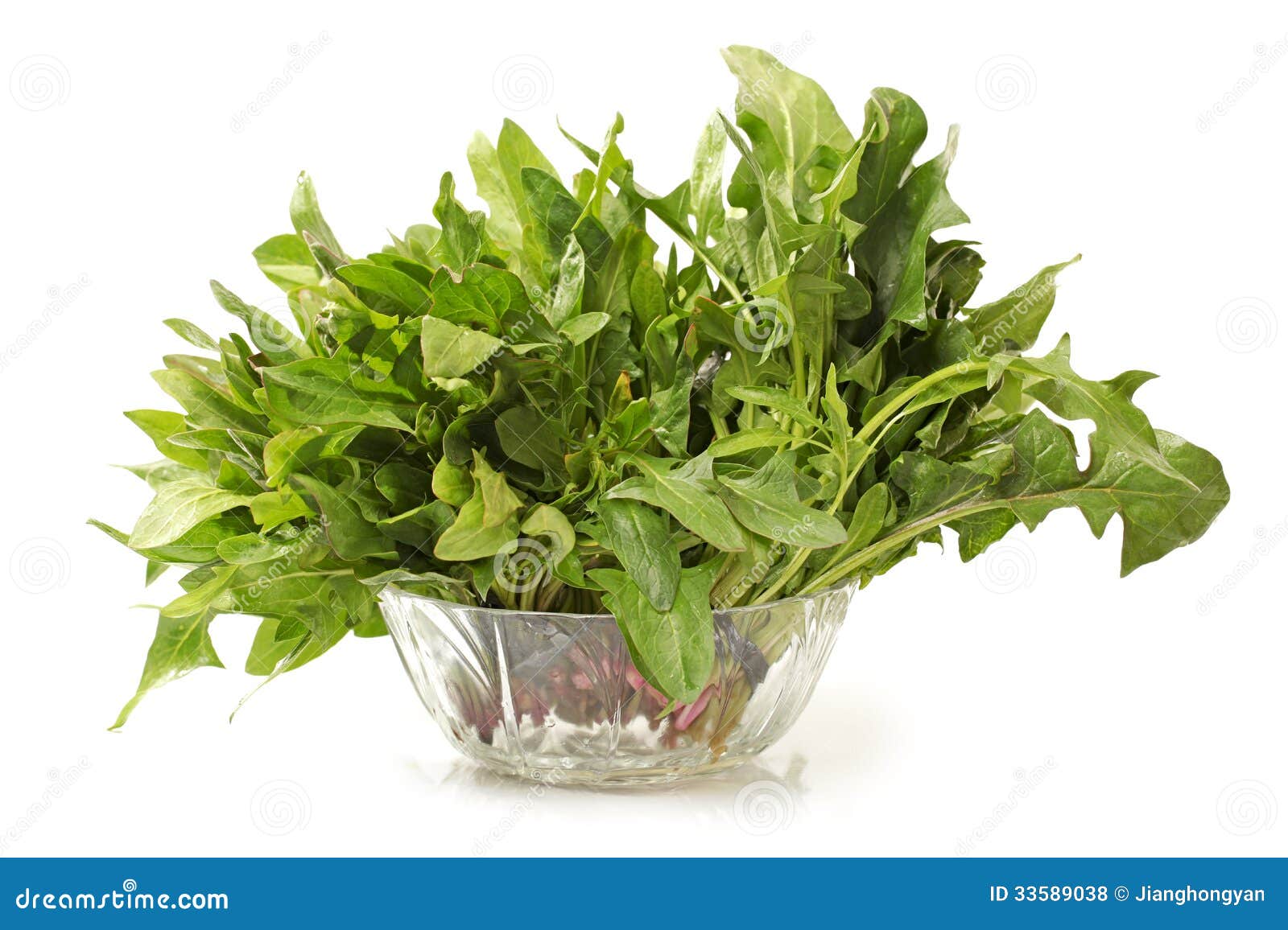 Spinach stock photo. Image of background, root, clean 33589038