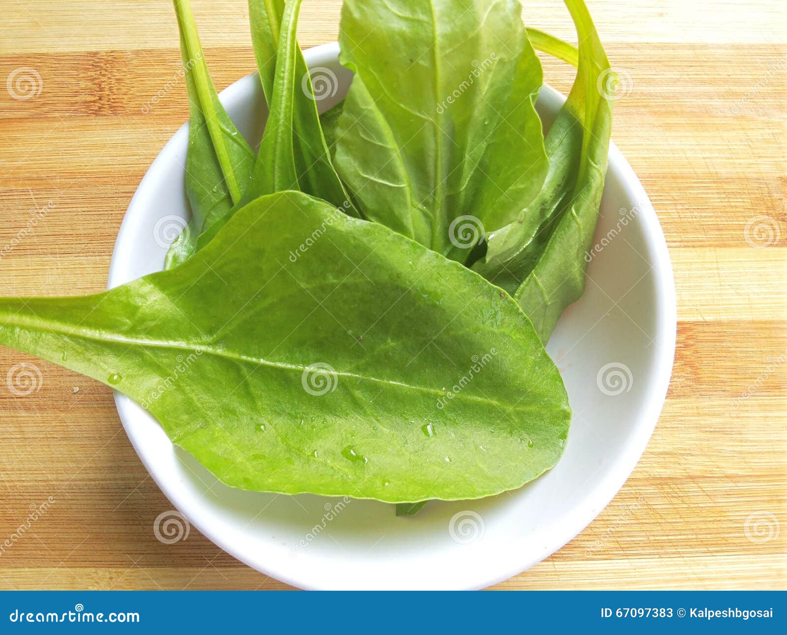 Spinach leaf in white bowl stock image. Image of leafs 67097383