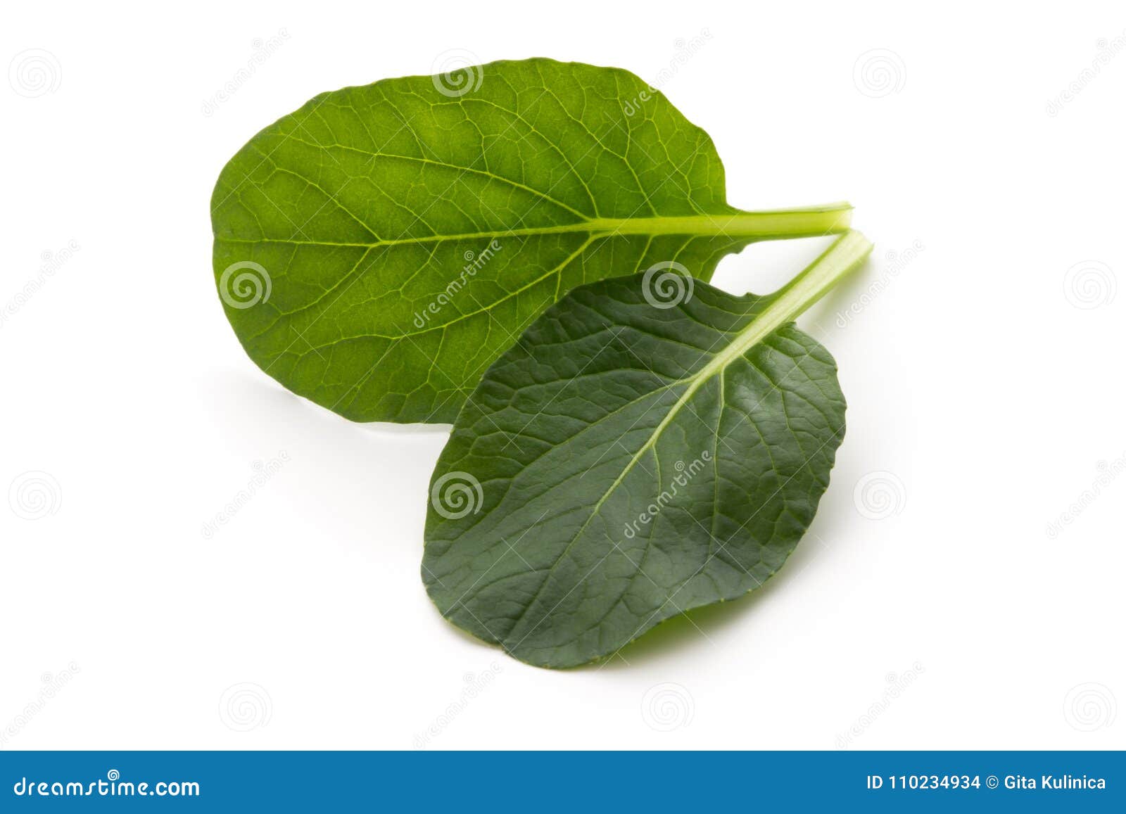 Spinach Leaves Close Up Isolated on White. Stock Photo Image of