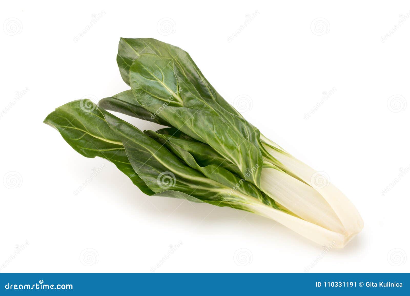 Spinach Leaves Close Up Isolated on White. Stock Image Image of green