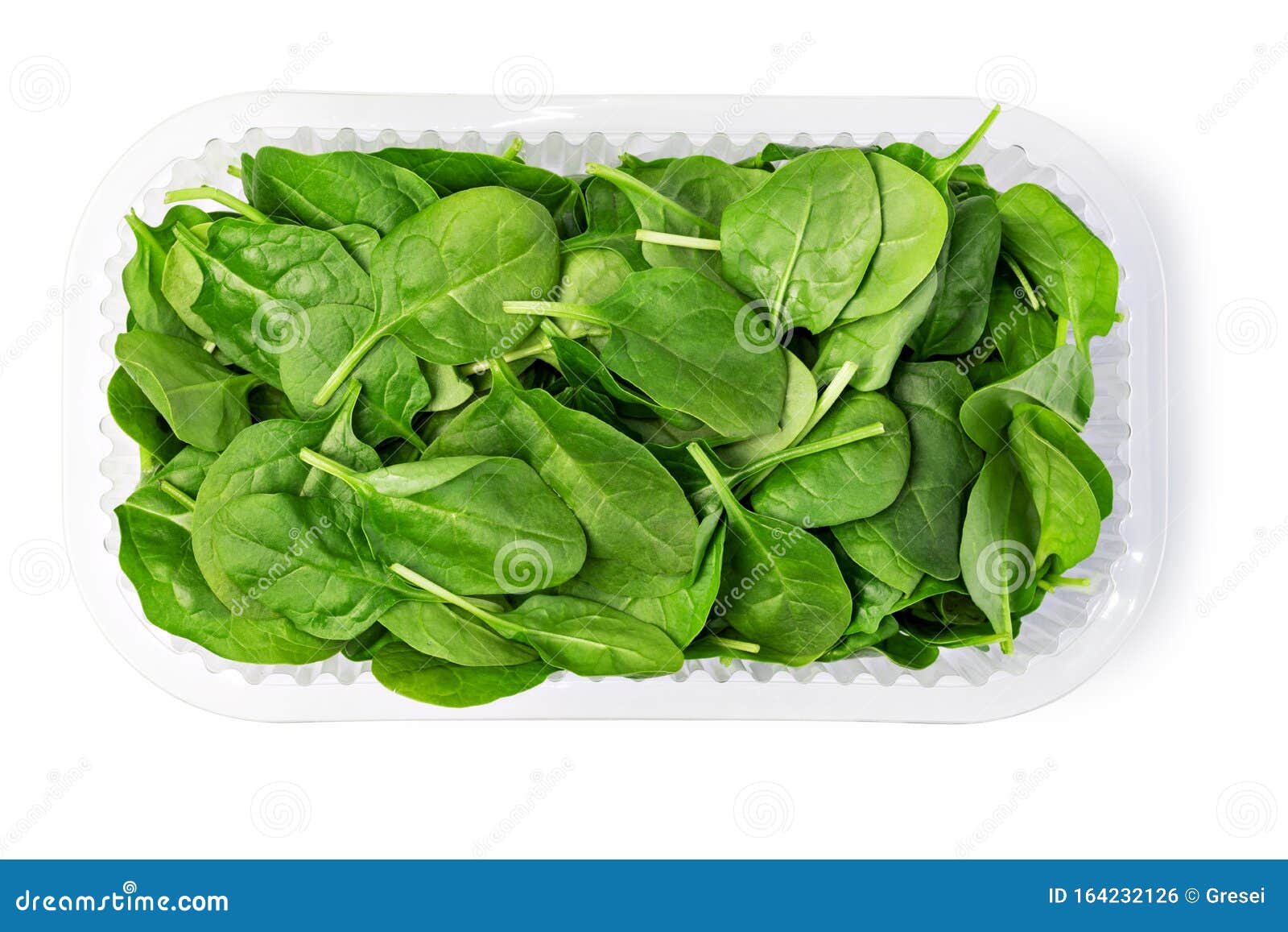 Spinach leaves stock photo. Image of green, plant, vegetable 164232126